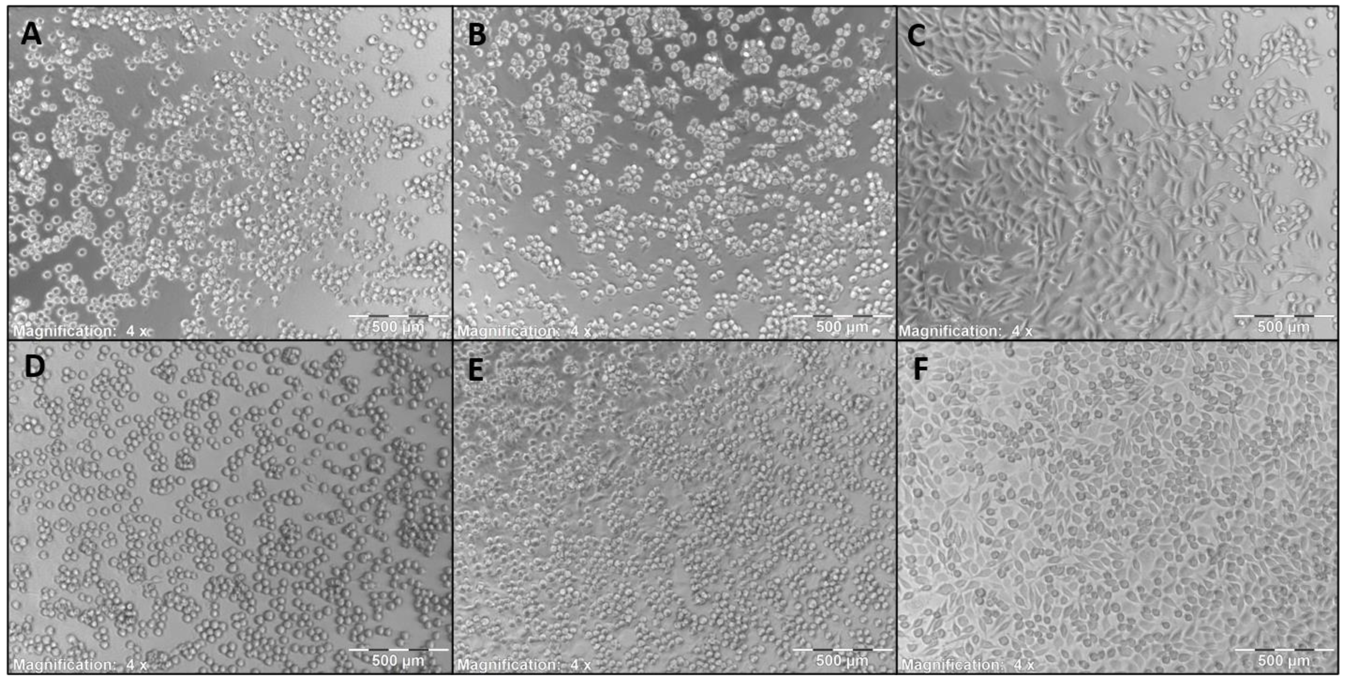 Pharmaceutics 13 01647 g008 Pharmaceutics 13 01647 g008