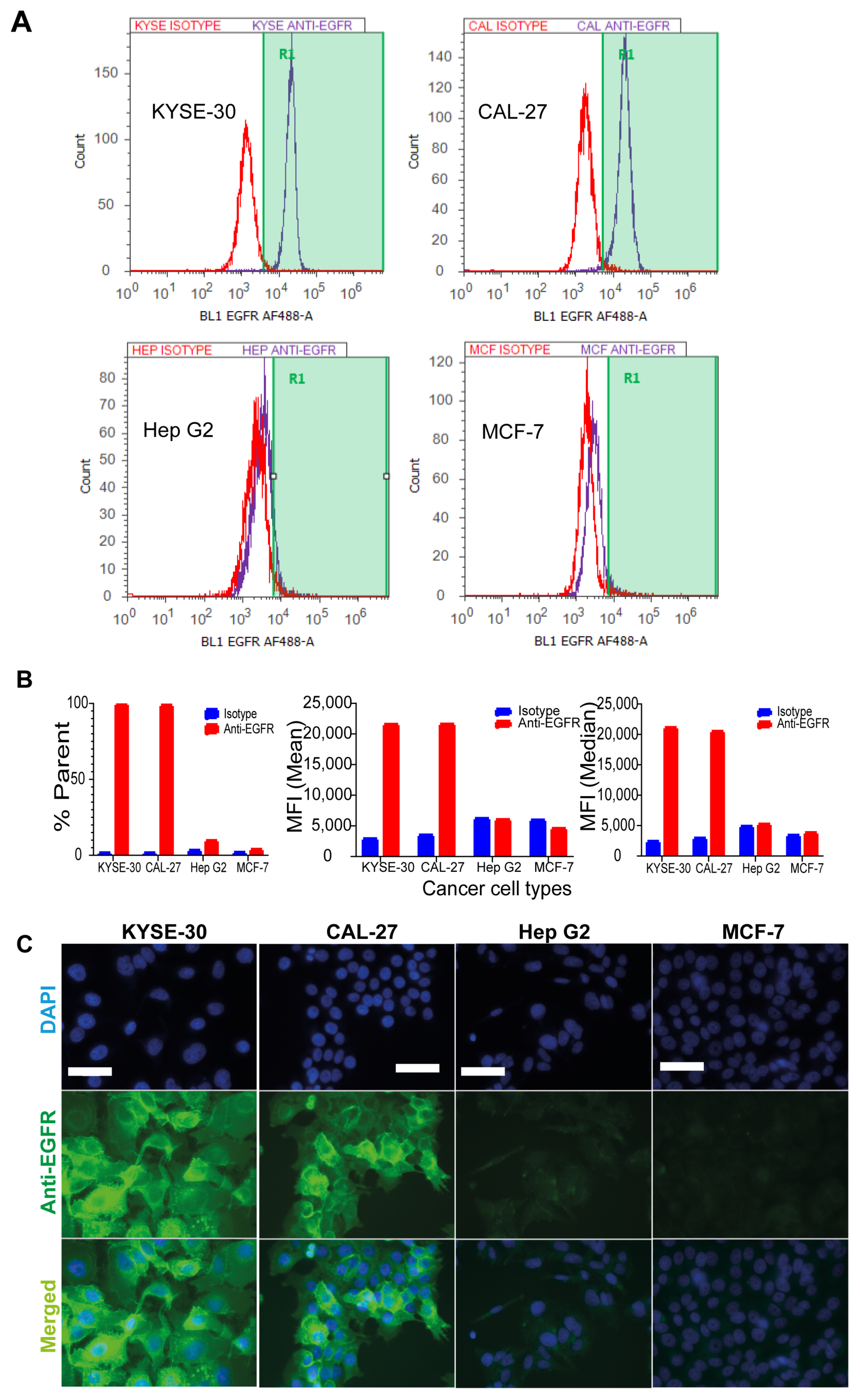 Pharmaceutics 13 01651 g002 Pharmaceutics 13 01651 g002