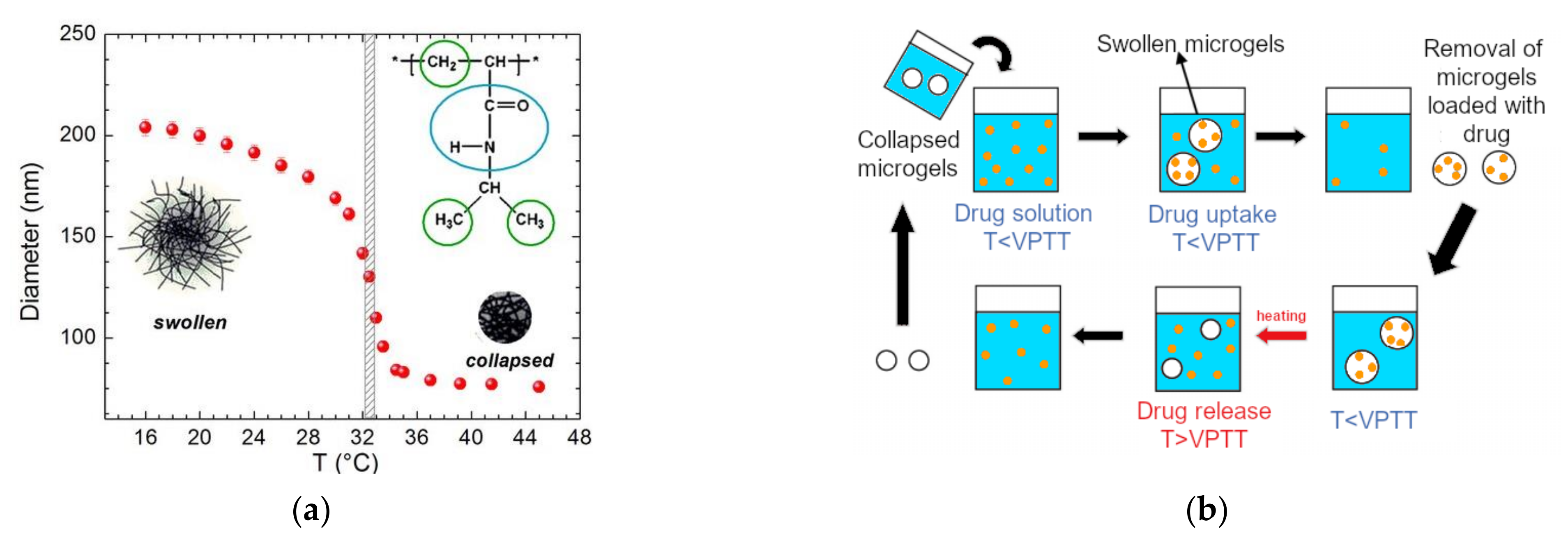 Pharmaceutics 13 01654 g002 Pharmaceutics 13 01654 g002