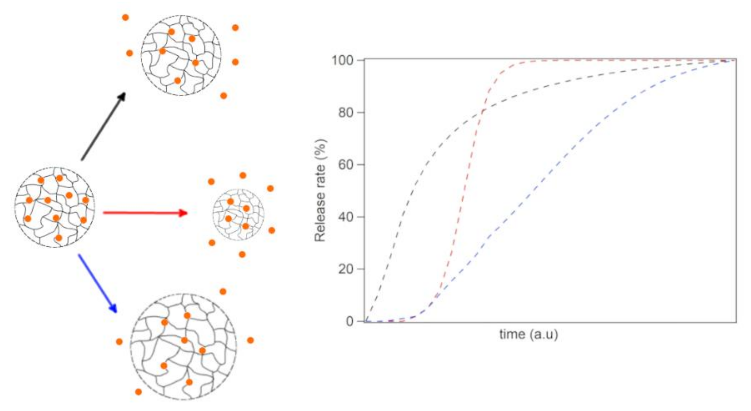 Pharmaceutics 13 01654 g003 Pharmaceutics 13 01654 g003