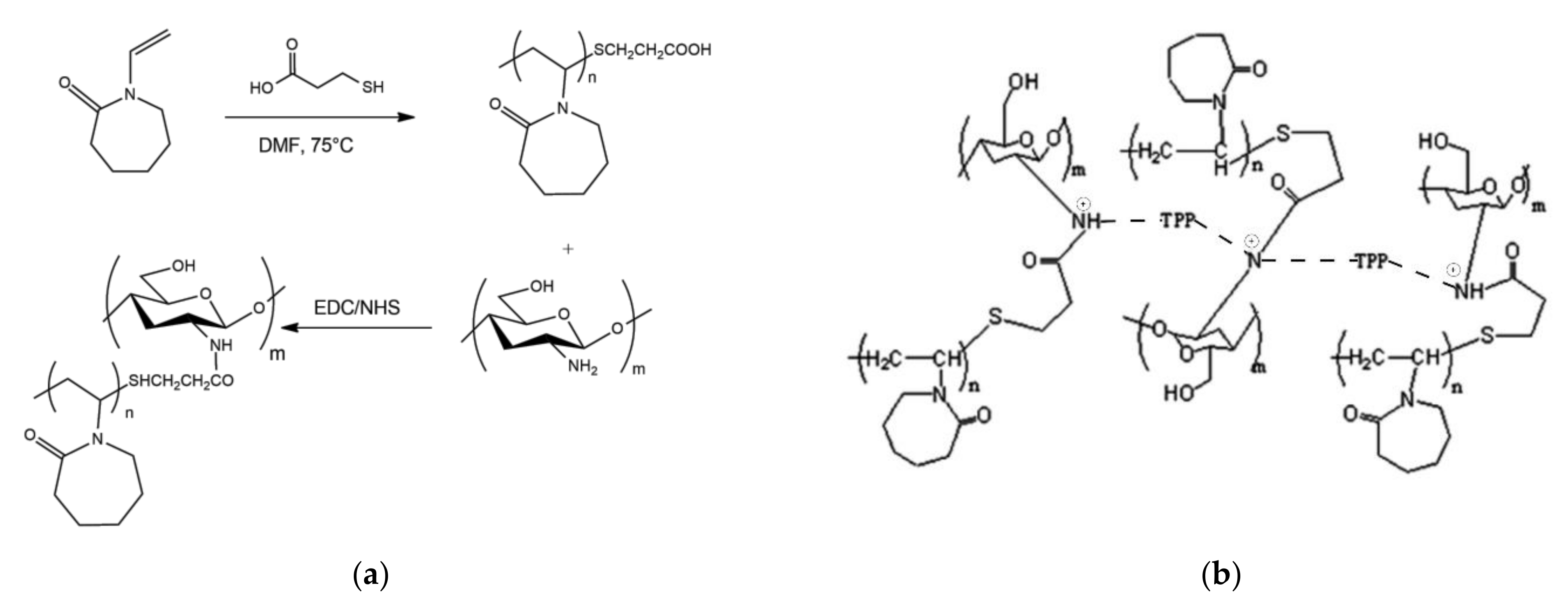 Pharmaceutics 13 01654 g004 Pharmaceutics 13 01654 g004