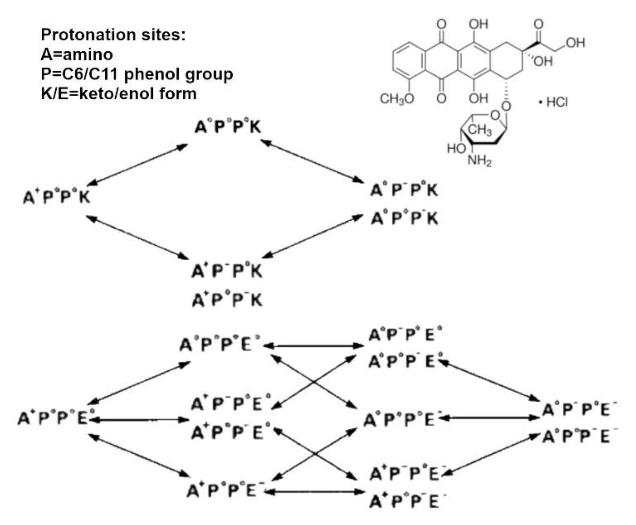 Pharmaceutics 13 01654 g005 Pharmaceutics 13 01654 g005