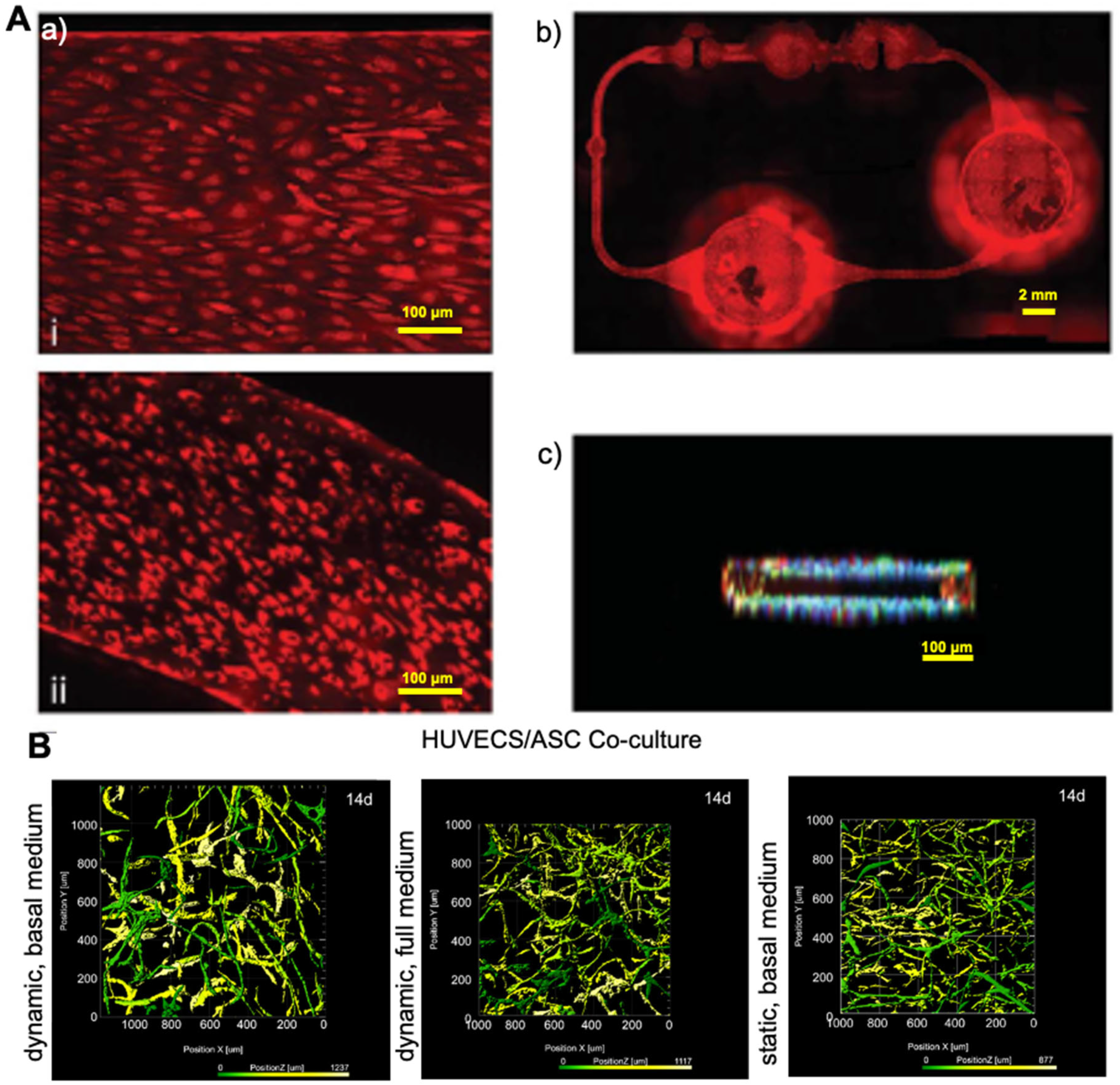 Pharmaceutics 13 01657 g002