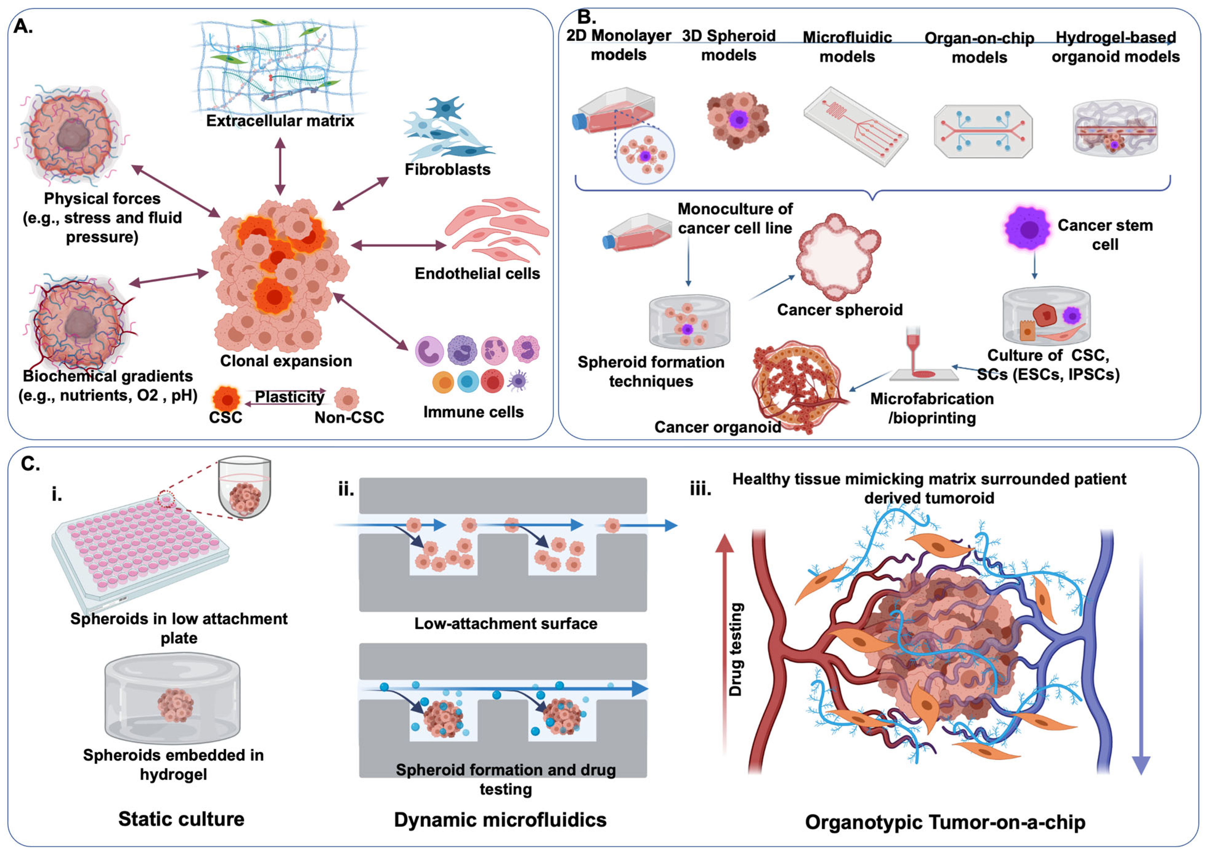 Pharmaceutics 13 01657 g005