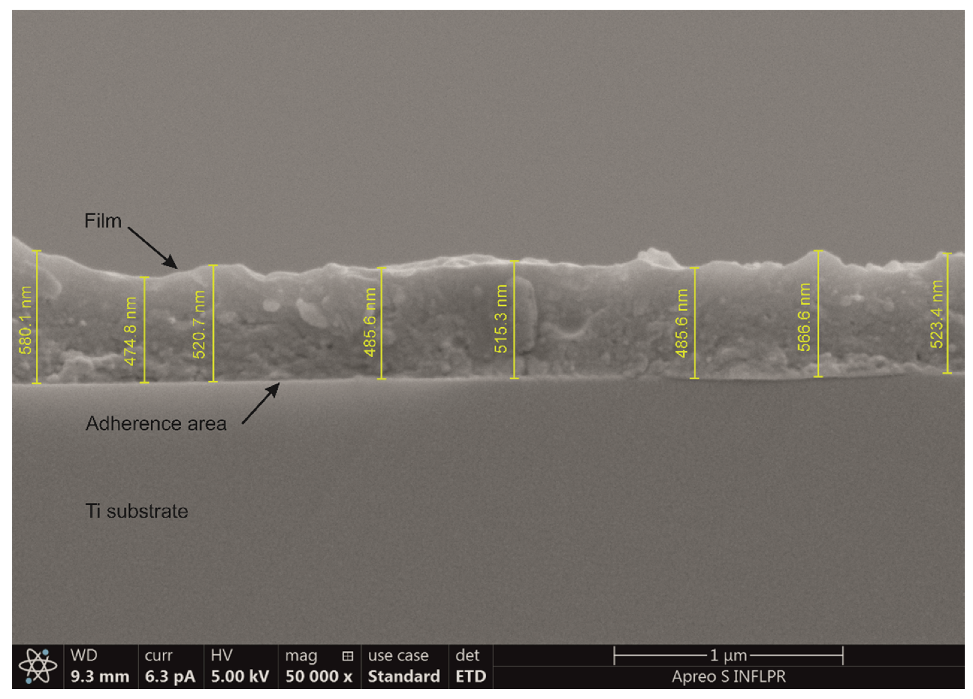 Pharmaceutics 13 01659 g002 Pharmaceutics 13 01659 g002