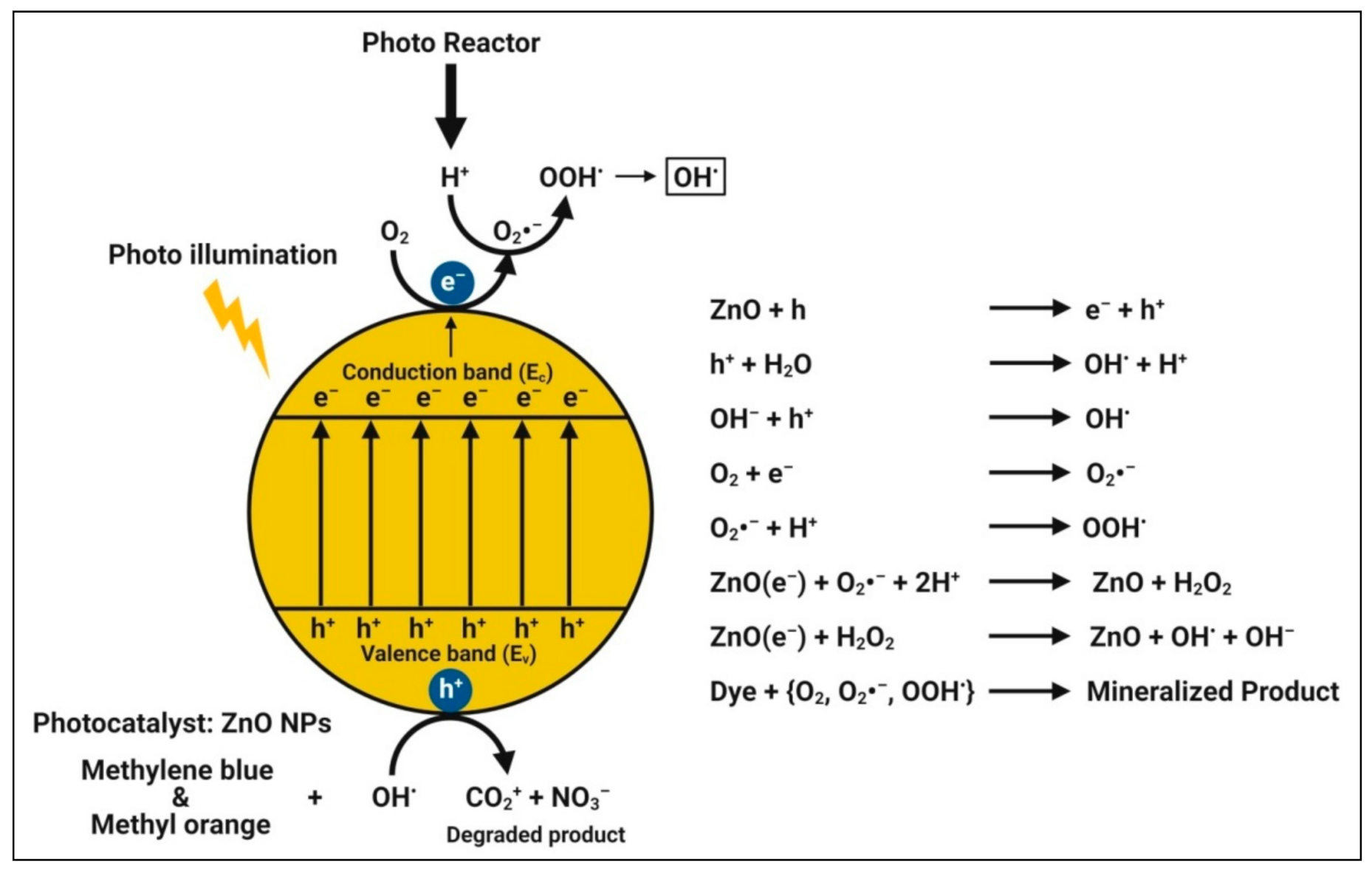 Pharmaceutics 13 01662 g007 550