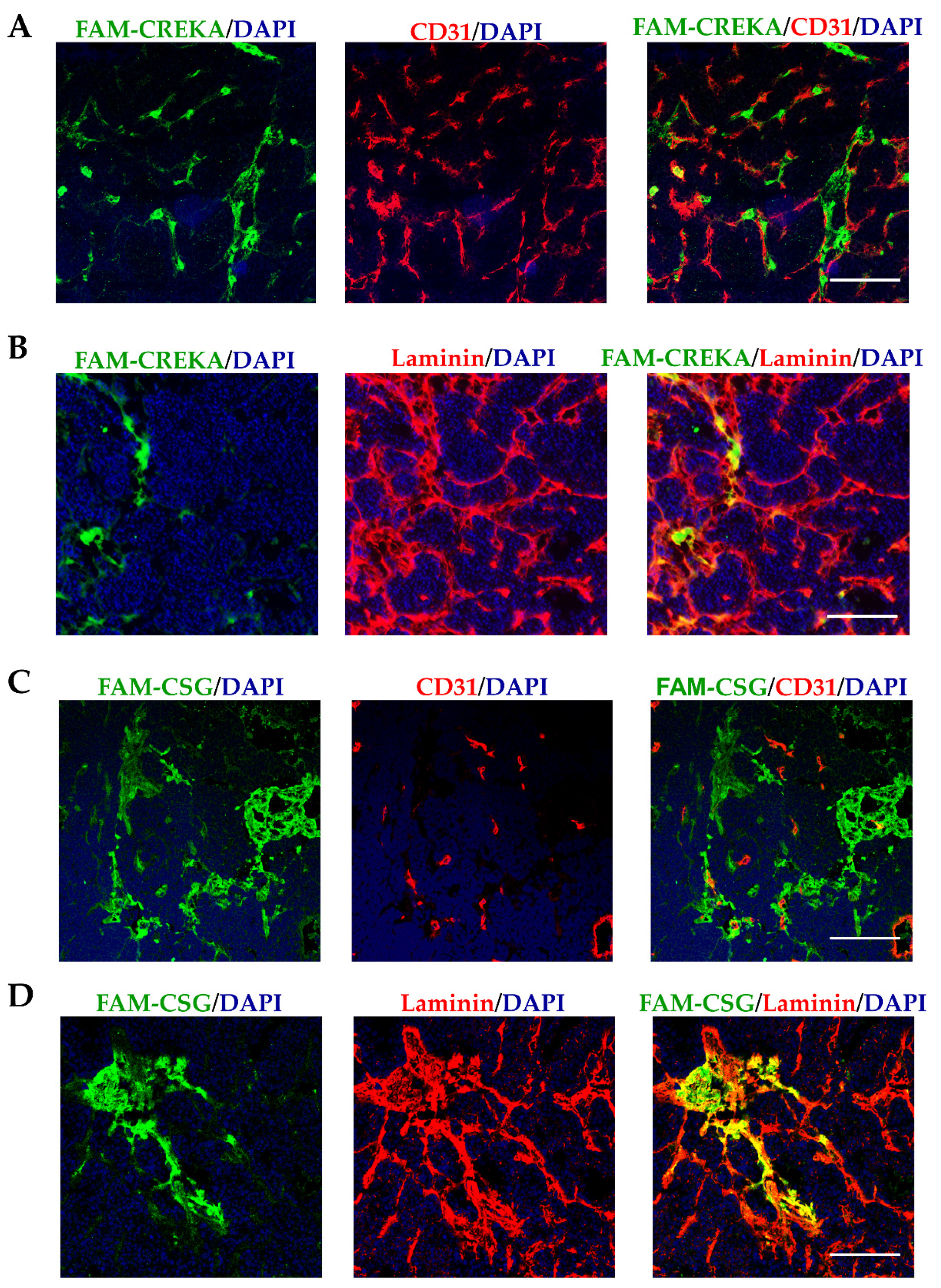 Pharmaceutics 13 01663 g001 Pharmaceutics 13 01663 g001