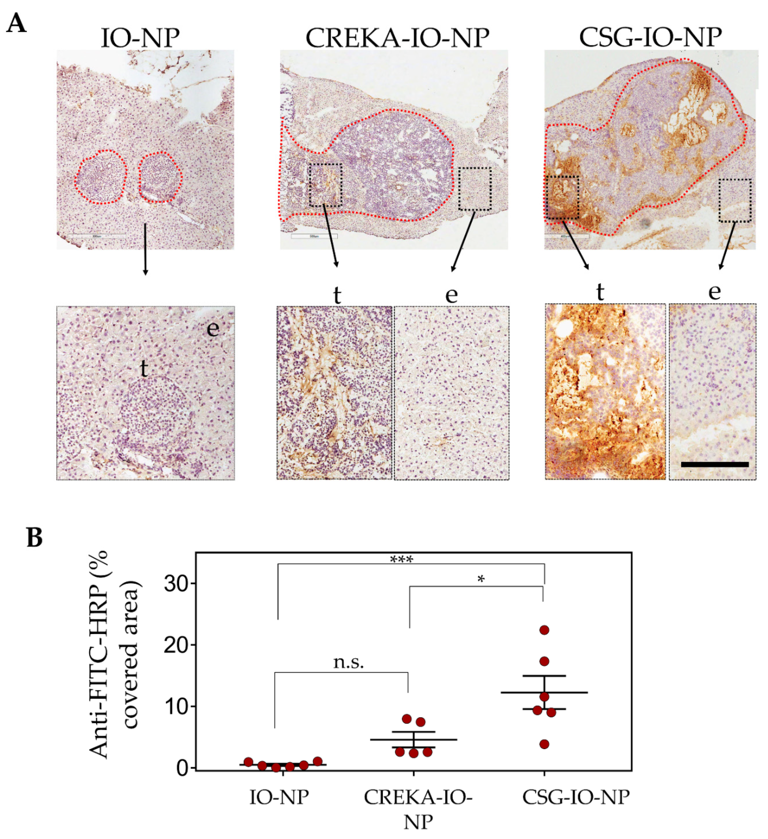 Pharmaceutics 13 01663 g004 Pharmaceutics 13 01663 g004