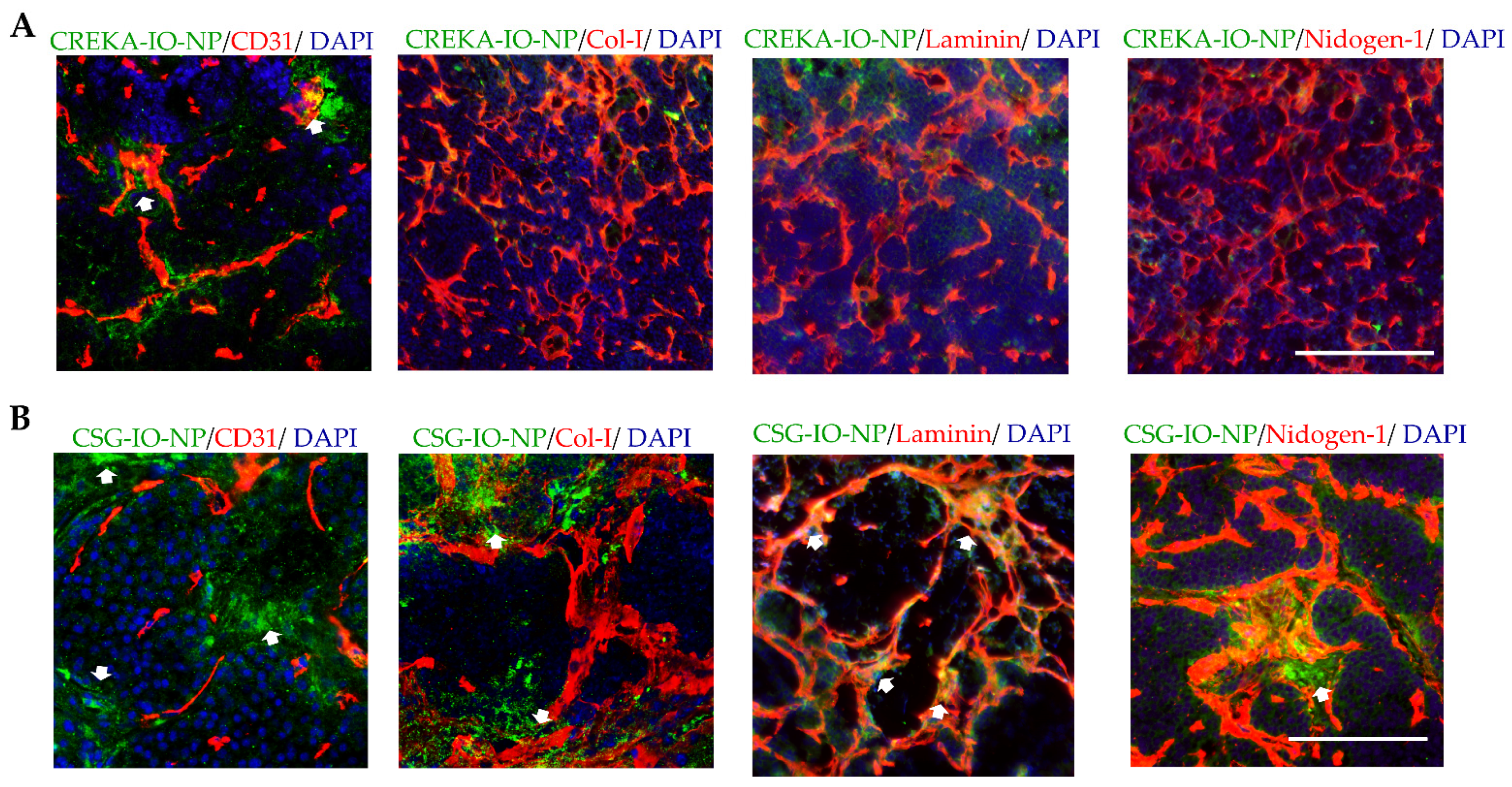 Pharmaceutics 13 01663 g005 Pharmaceutics 13 01663 g005
