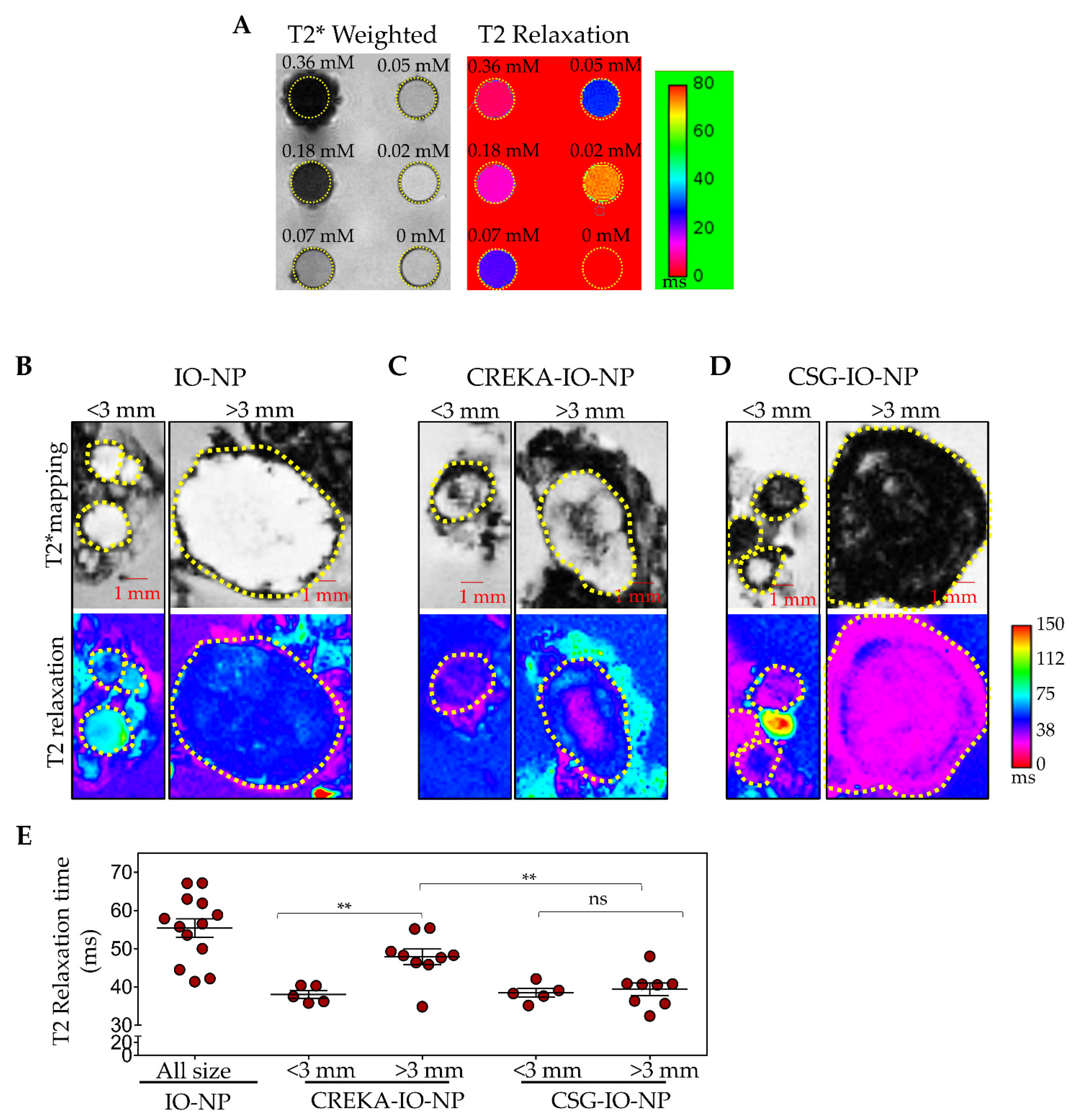 Pharmaceutics 13 01663 g006 Pharmaceutics 13 01663 g006