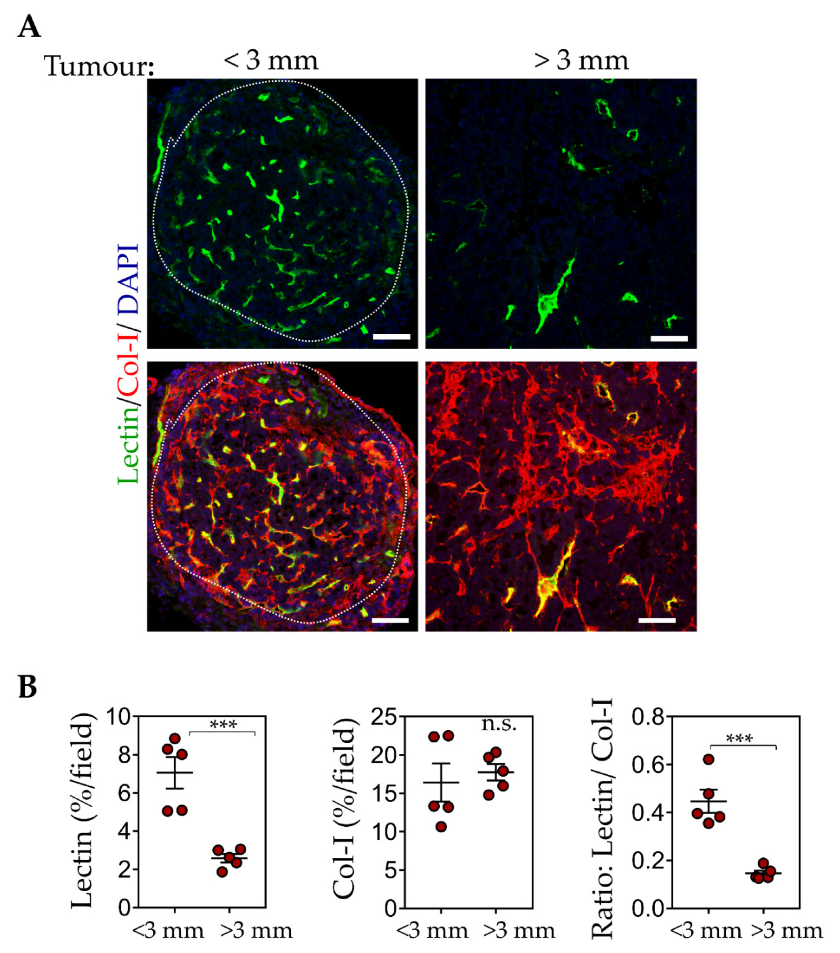 Pharmaceutics 13 01663 g007 Pharmaceutics 13 01663 g007