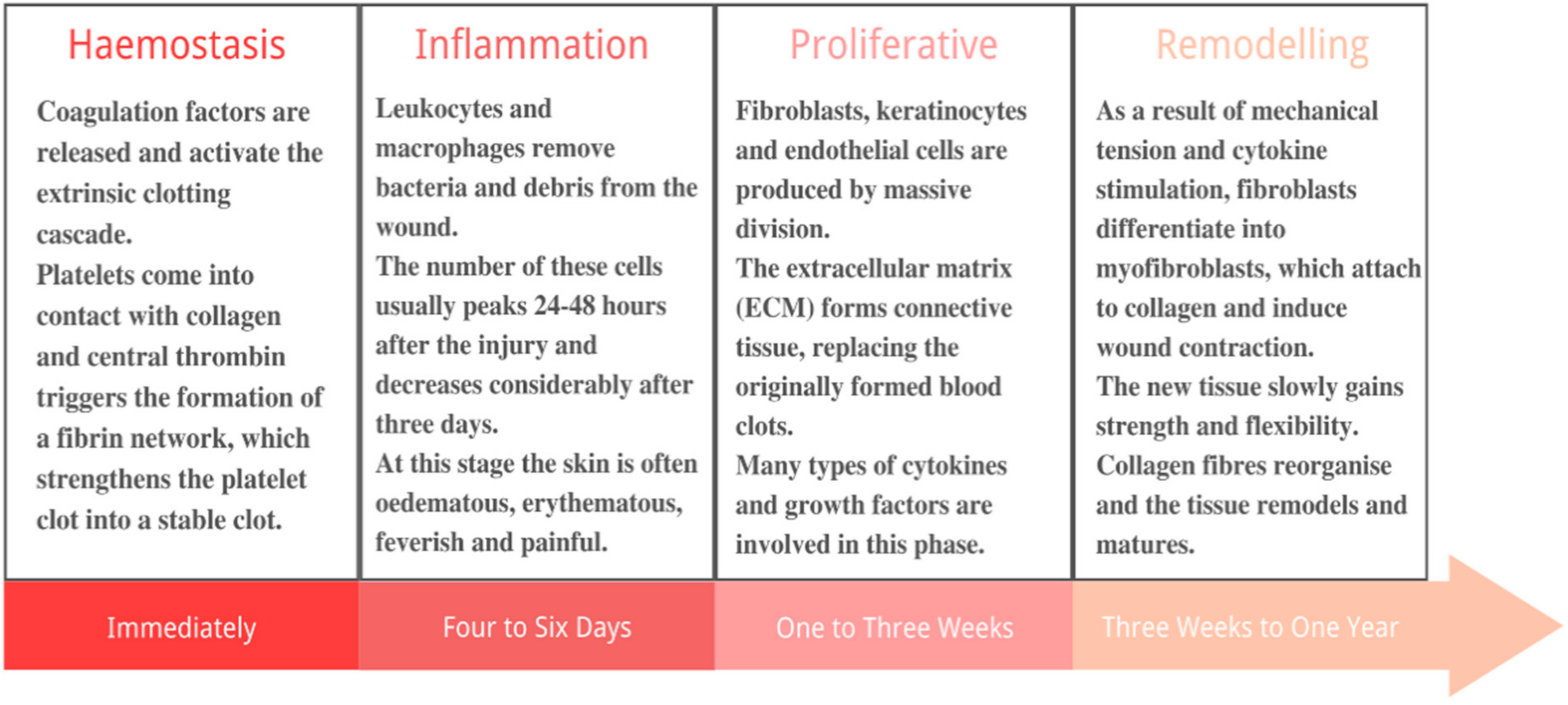 Pharmaceutics 13 01666 g001