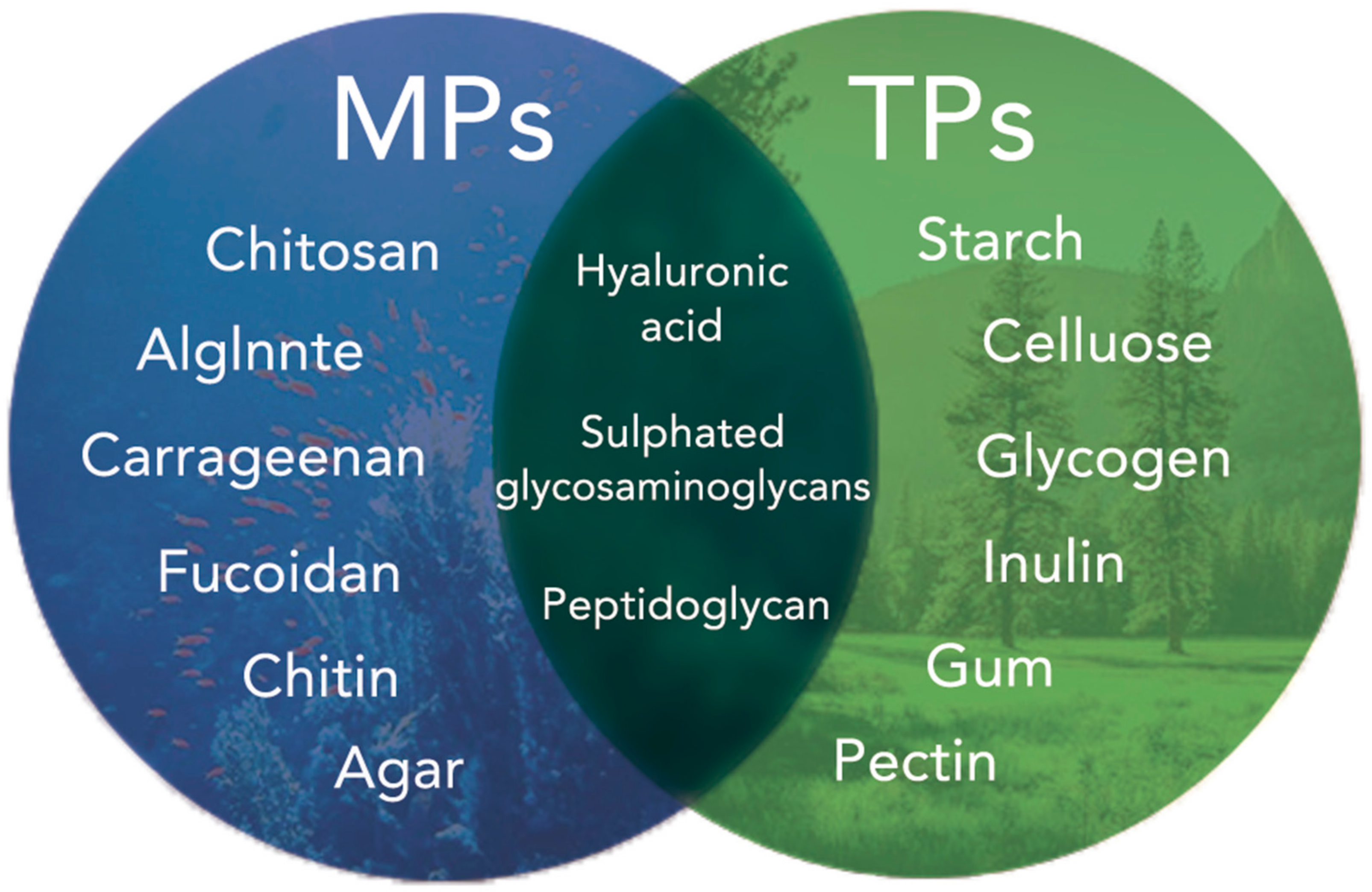 Pharmaceutics 13 01666 g002