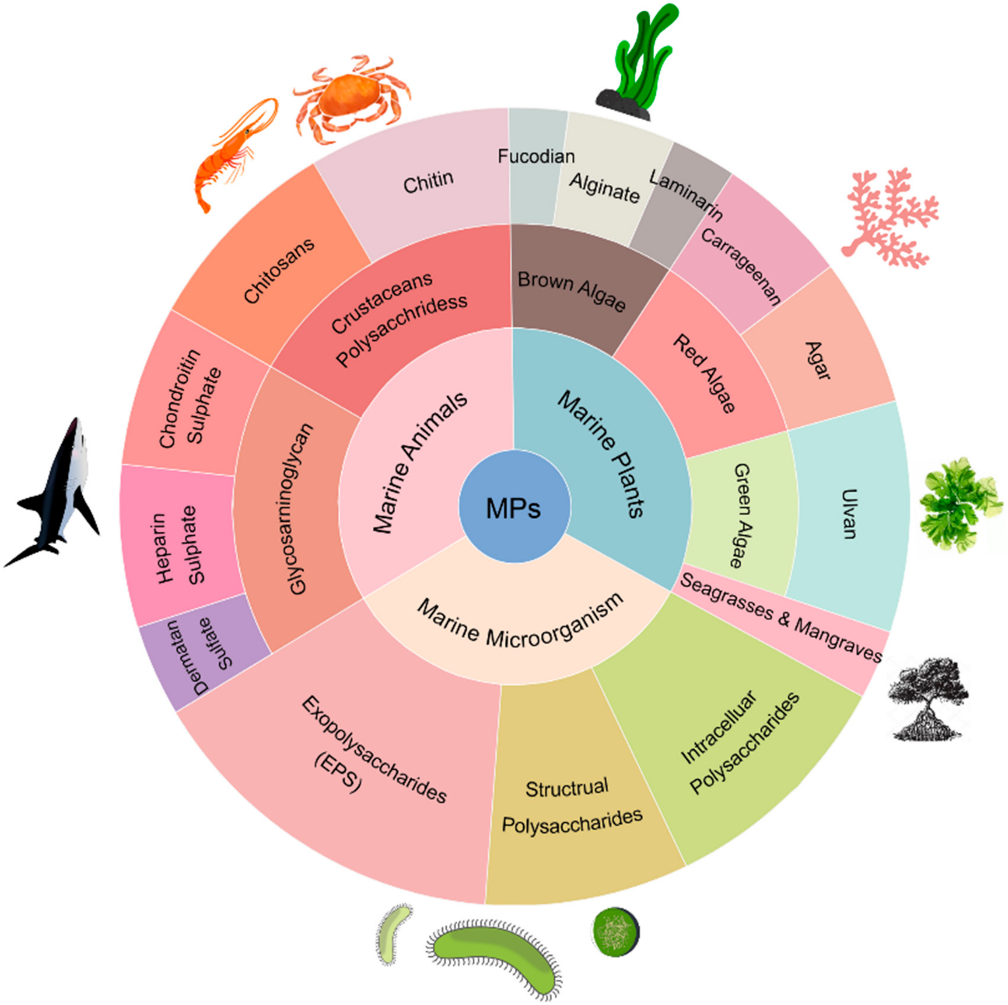 Pharmaceutics 13 01666 g003