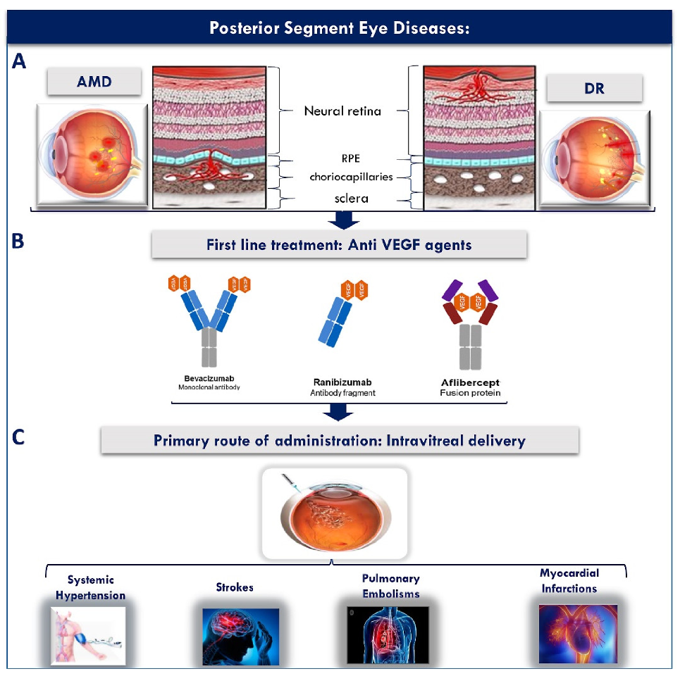 Pharmaceutics 13 01685 g003
