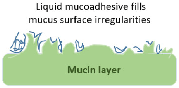 Pharmaceutics 13 01685 i002