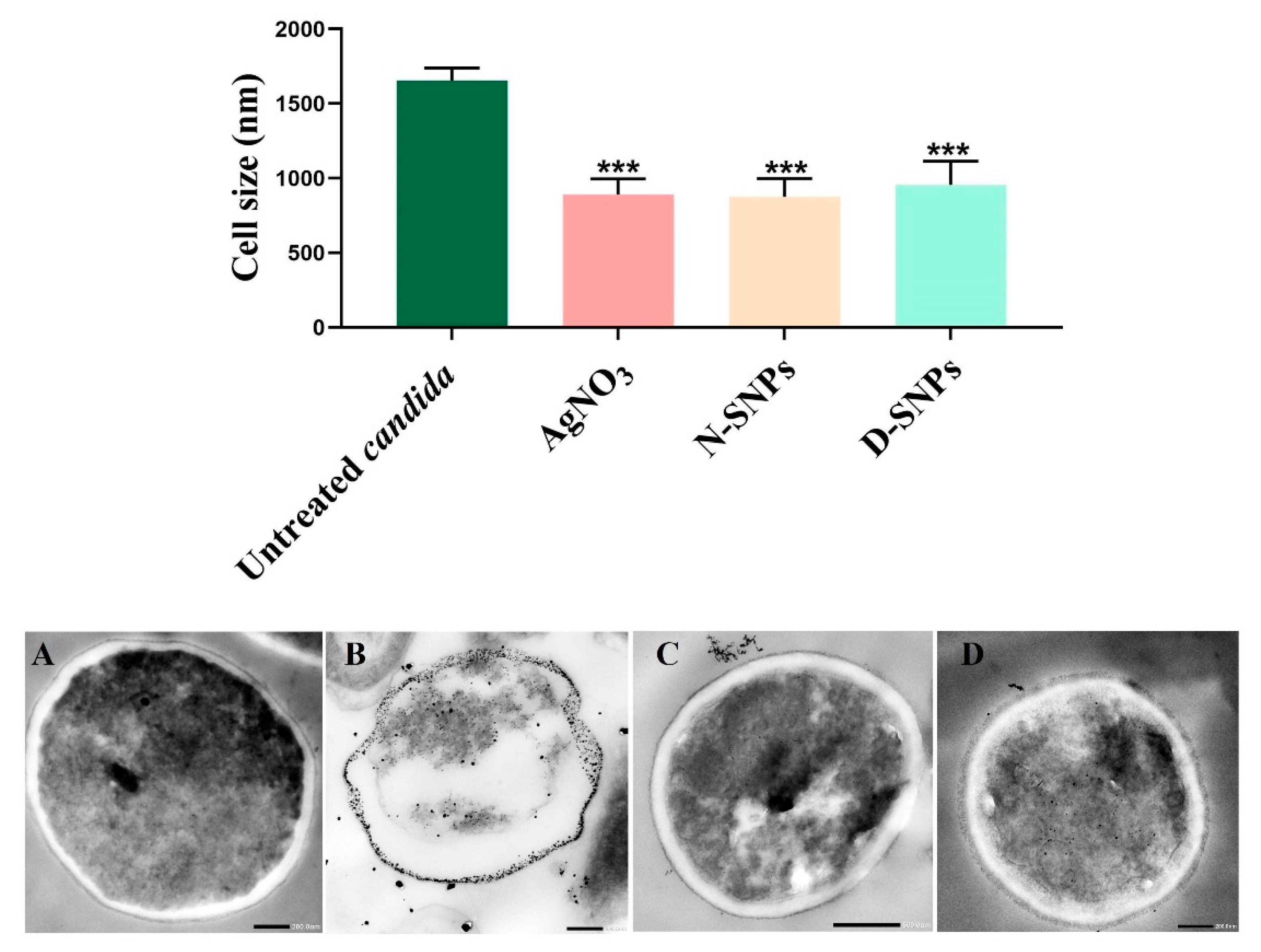 Pharmaceutics 13 01688 g004