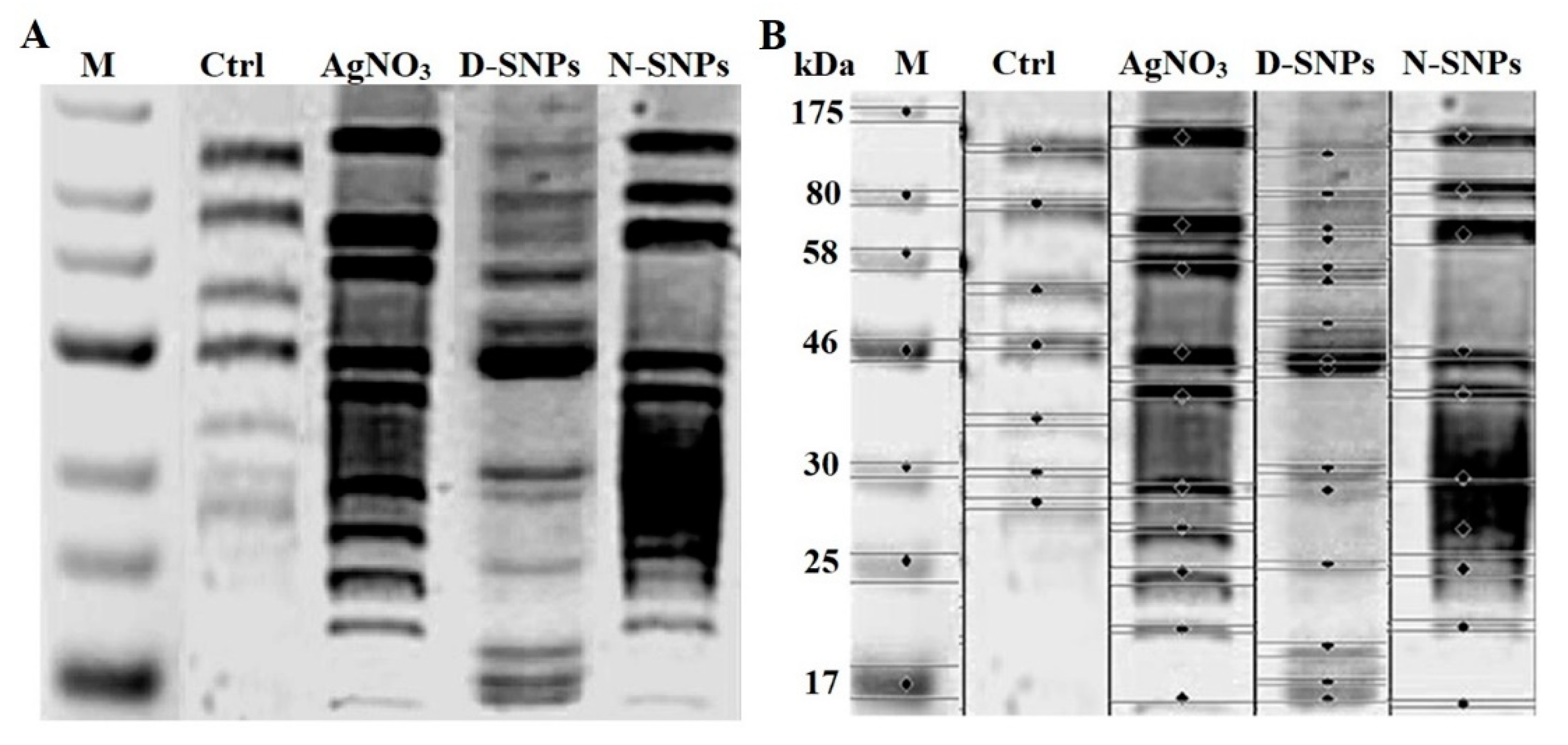 Pharmaceutics 13 01688 g008