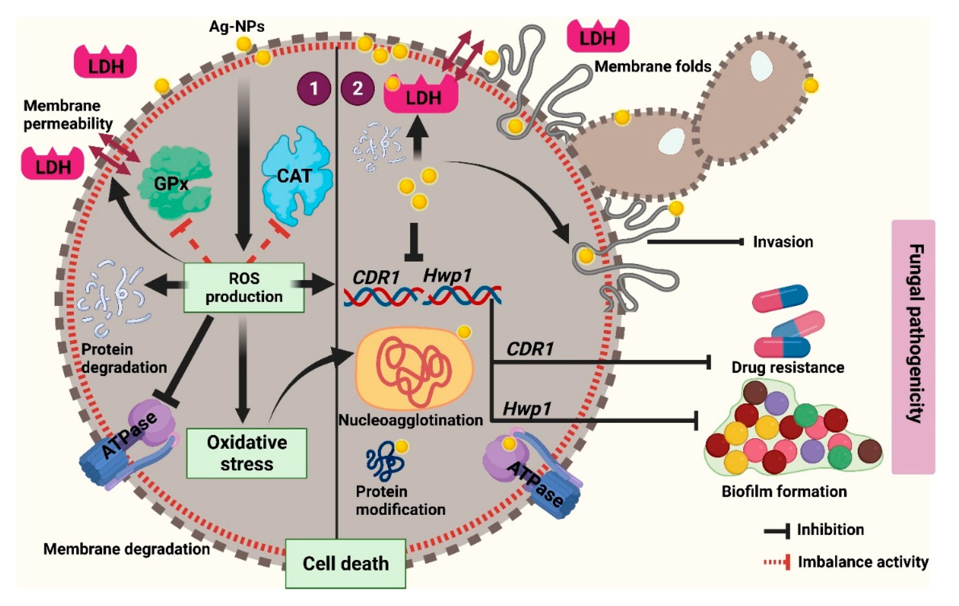 Pharmaceutics 13 01688 g009
