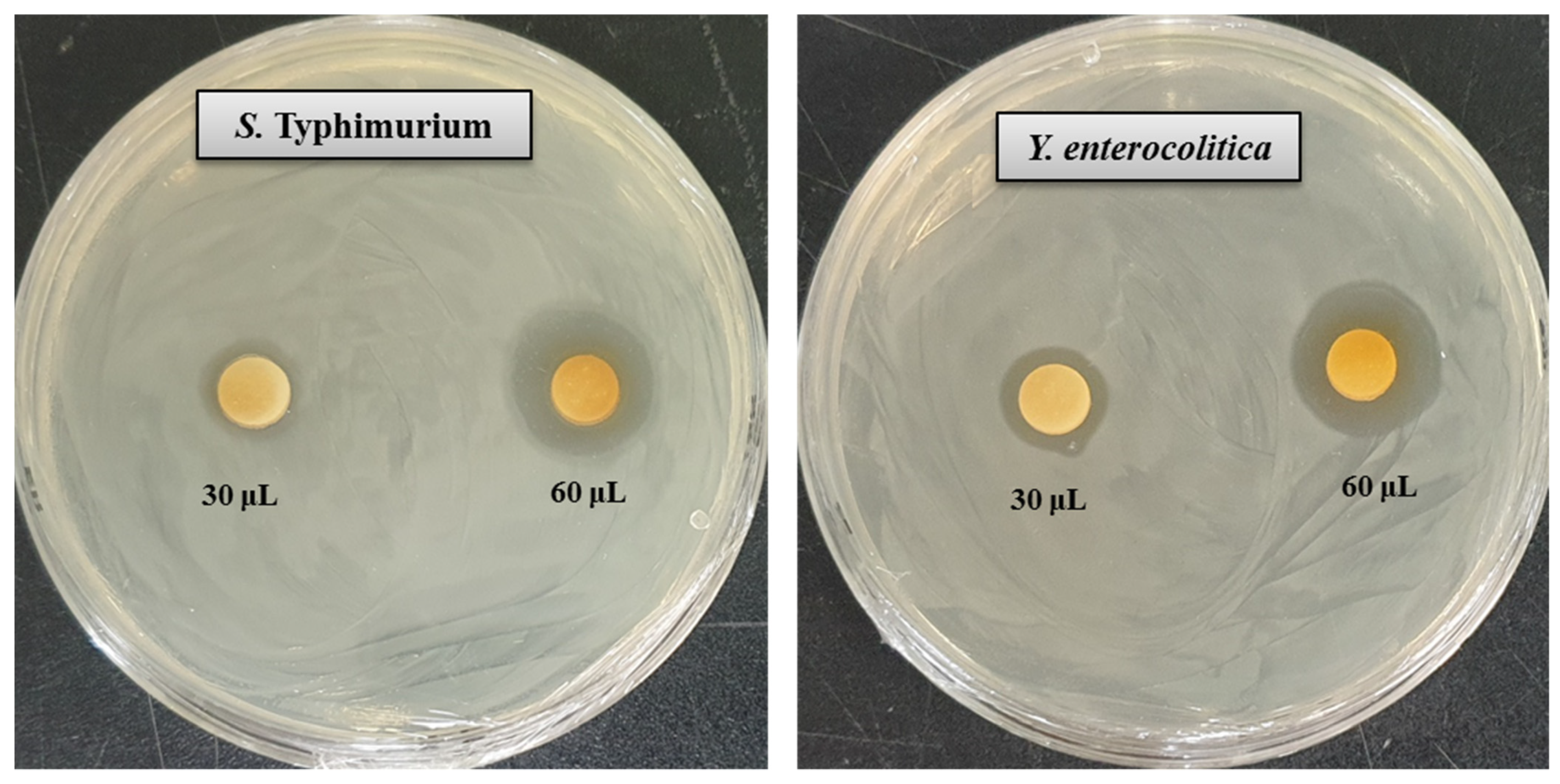 Pharmaceutics 13 01691 g007 Pharmaceutics 13 01691 g007