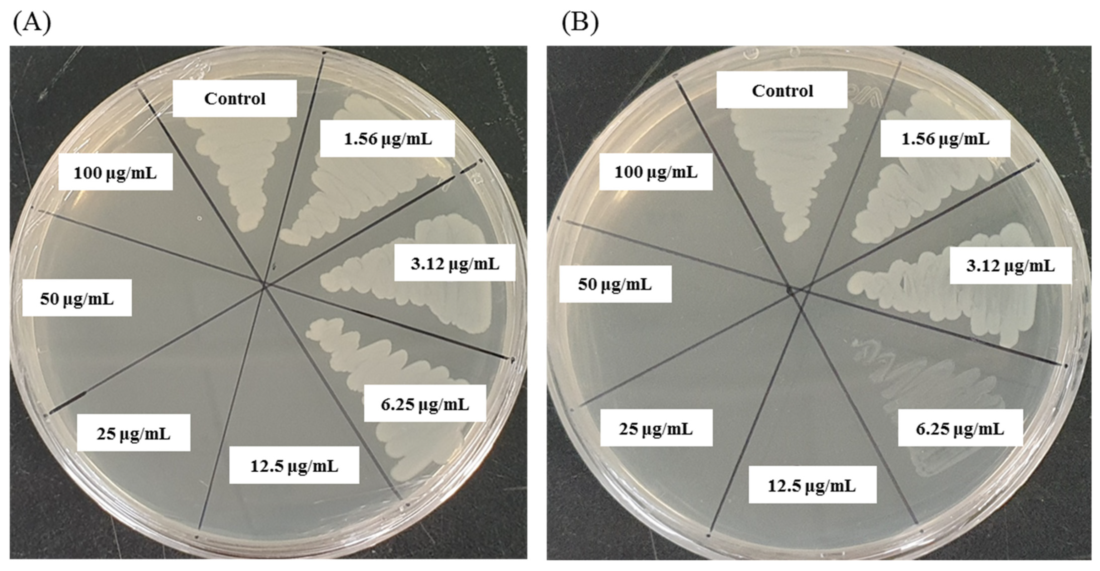 Pharmaceutics 13 01691 g009 Pharmaceutics 13 01691 g009
