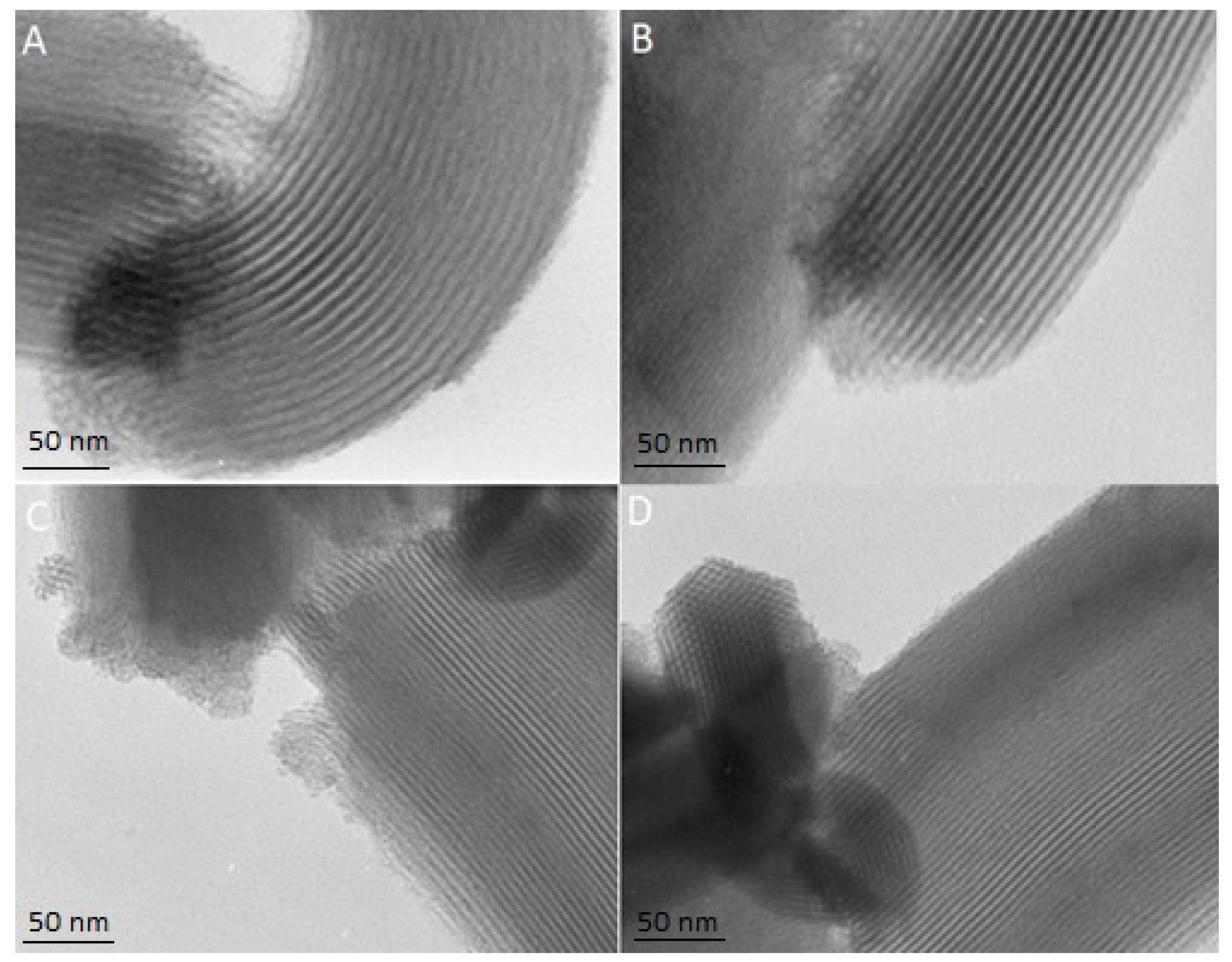 Pharmaceutics 13 01693 g003