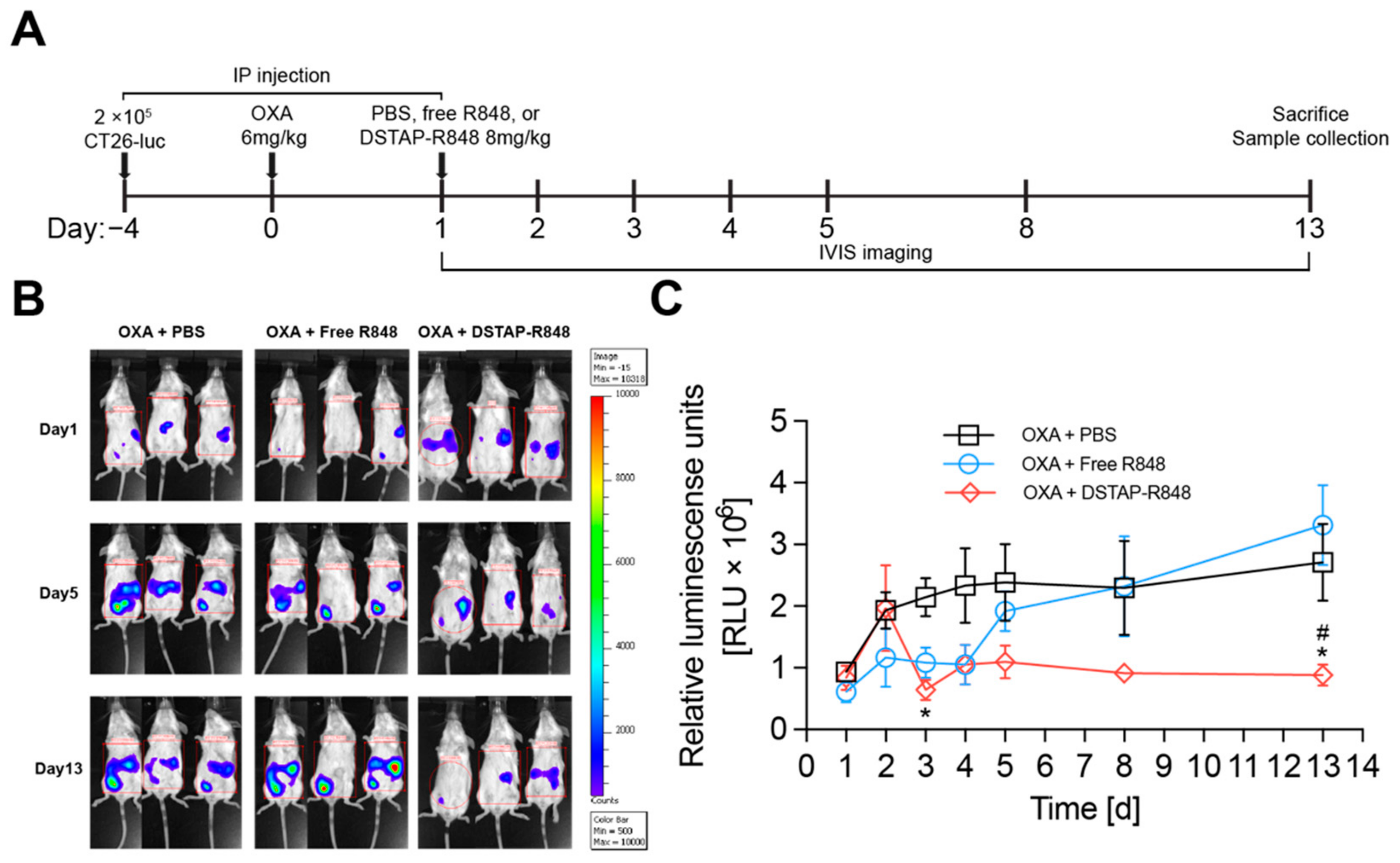 Pharmaceutics 13 01696 g004