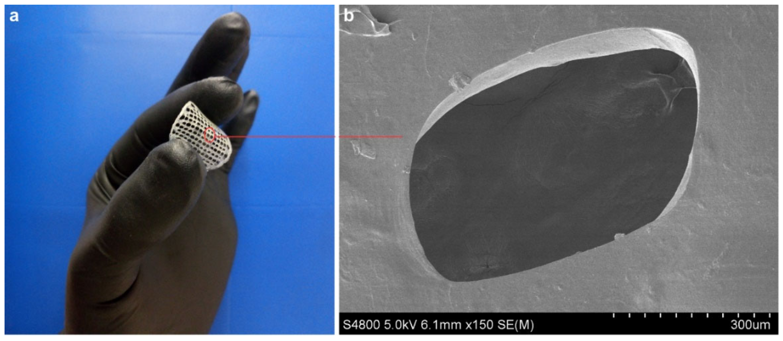 Pharmaceutics 13 01697 g002