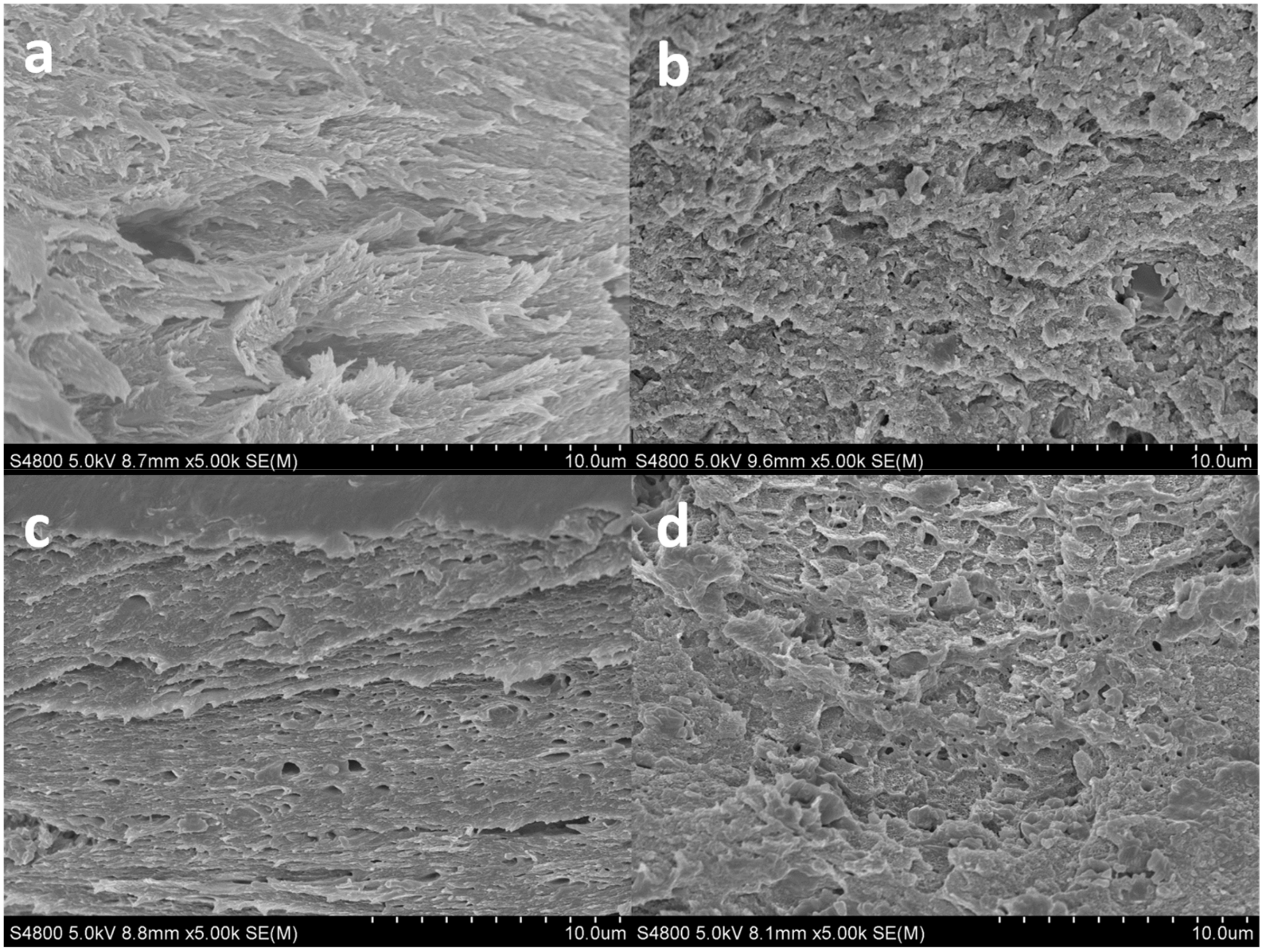 Pharmaceutics 13 01697 g007