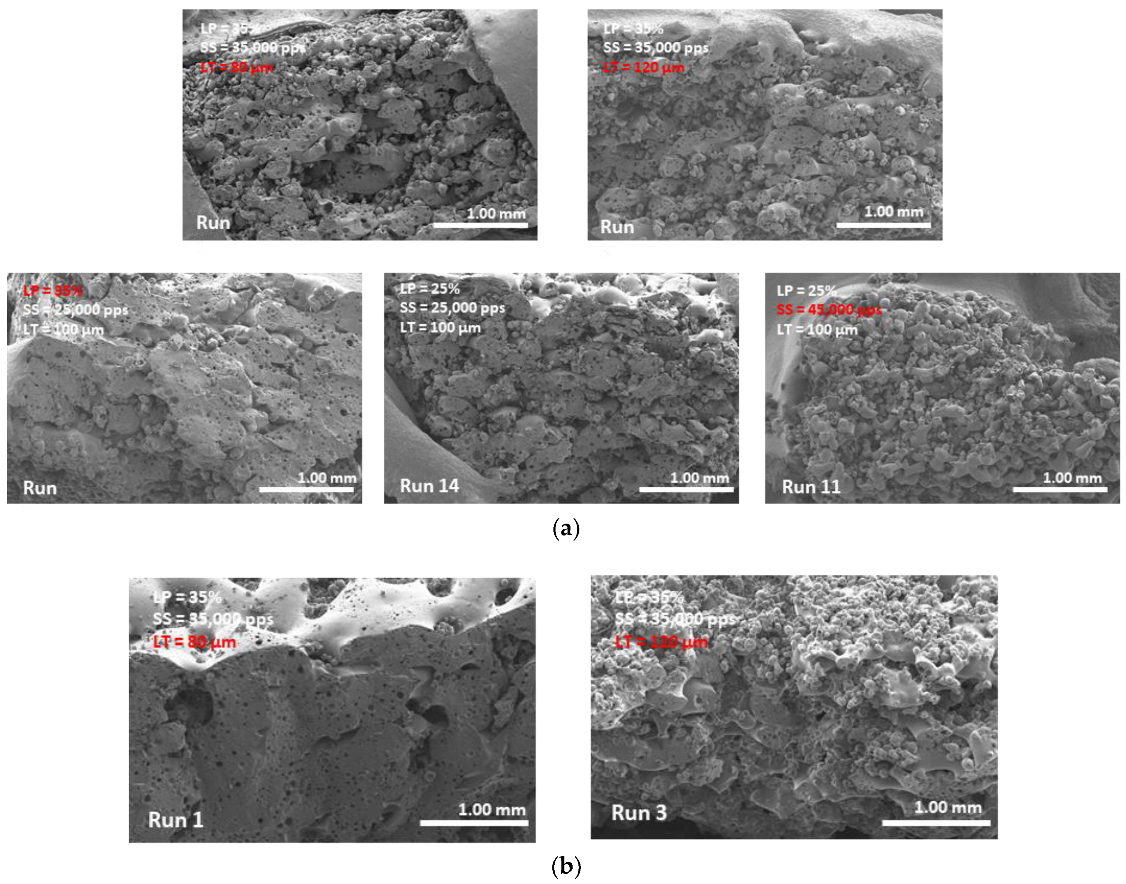 Pharmaceutics 13 01701 g011 550