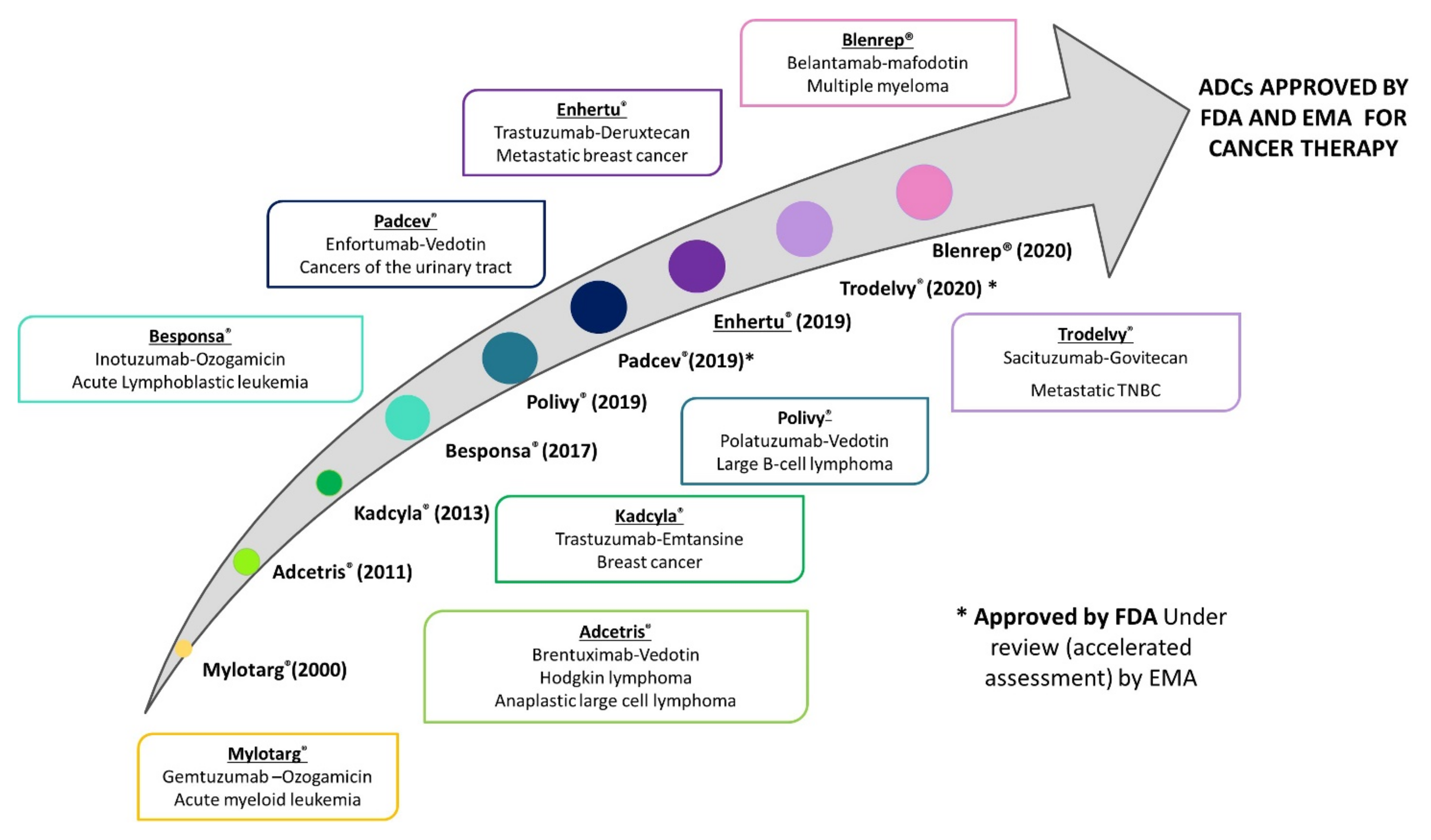 Pharmaceutics 13 01705 g001