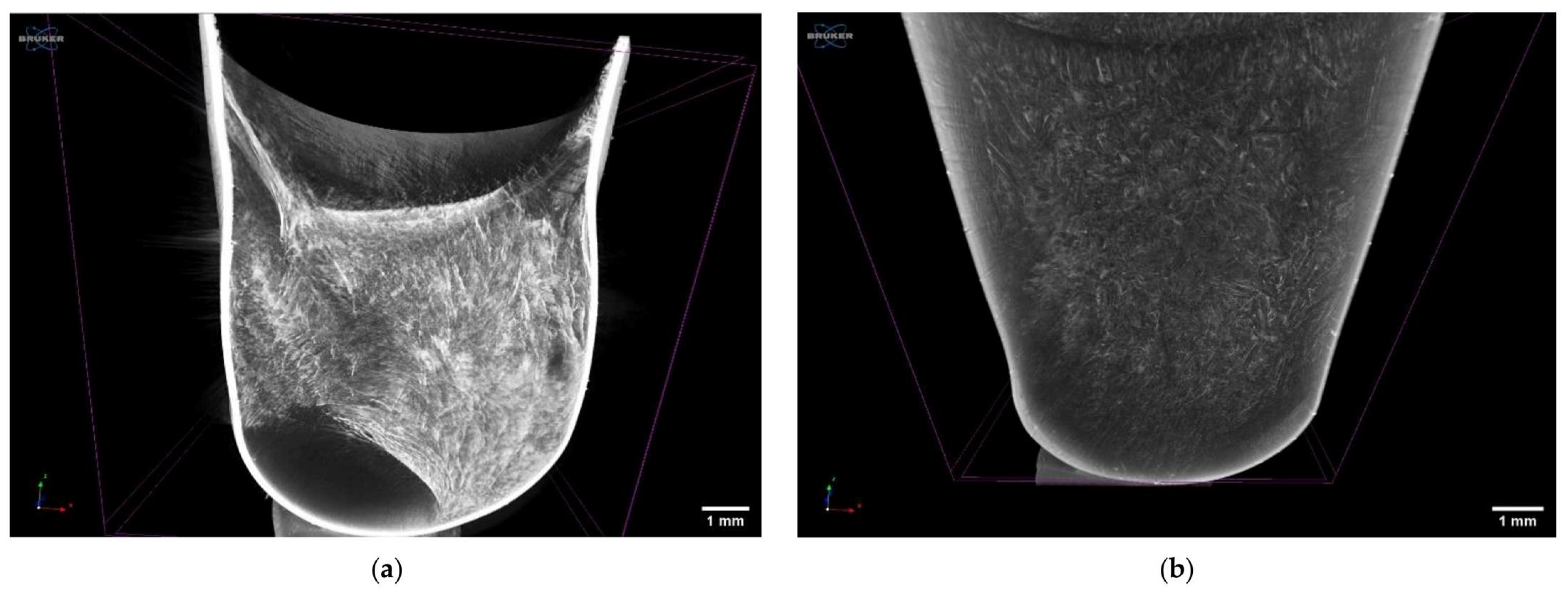 Pharmaceutics 13 01710 g010 550