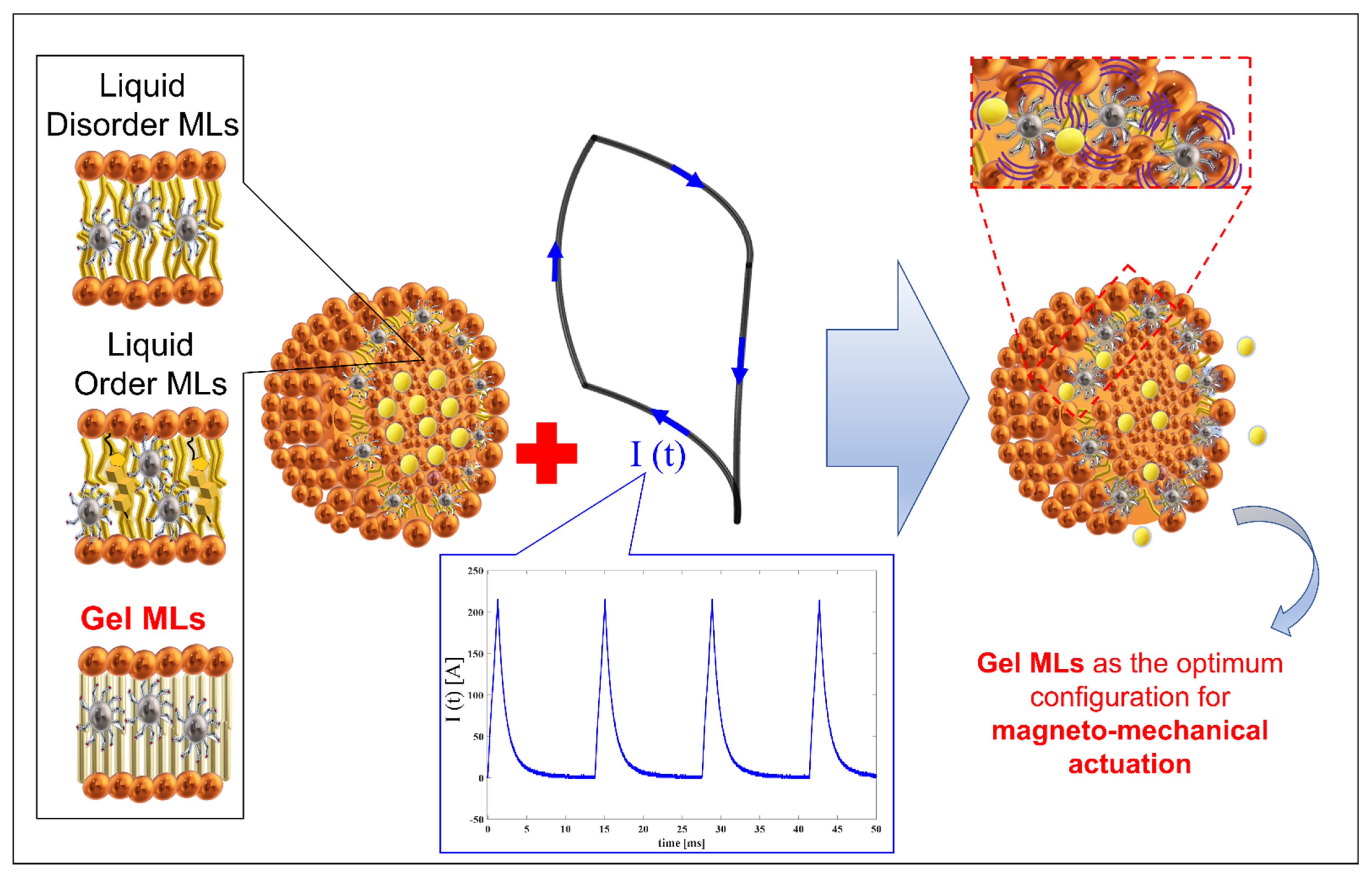 Pharmaceutics 13 01712 g009 550