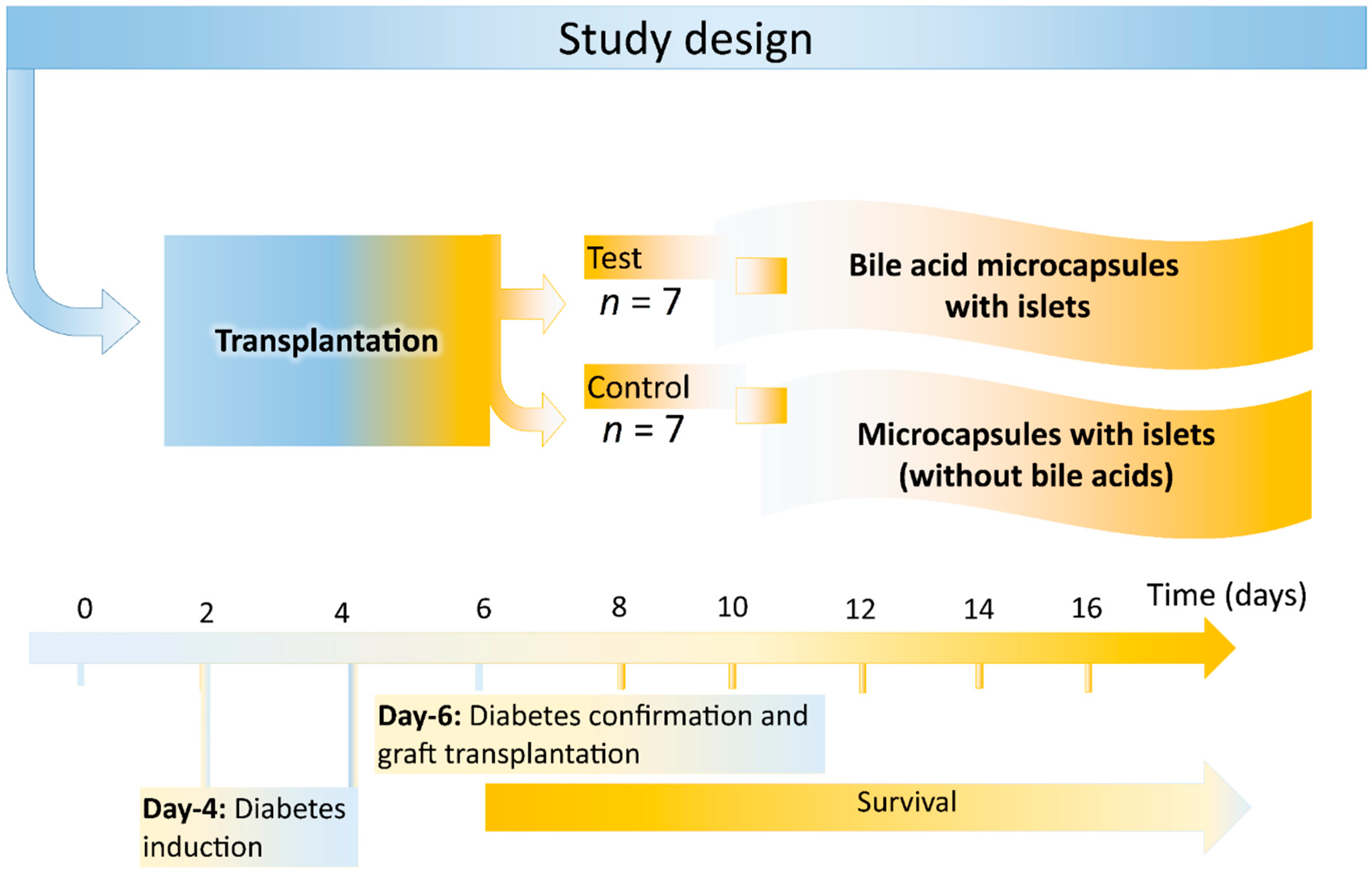 Pharmaceutics 13 01713 g001 550