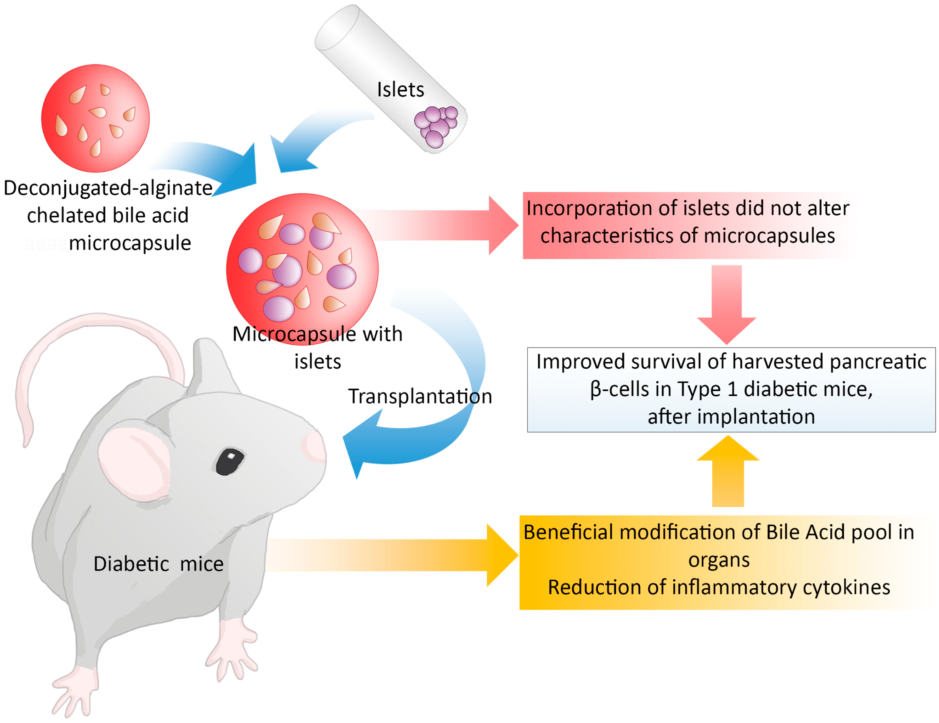 Pharmaceutics 13 01713 g006 550
