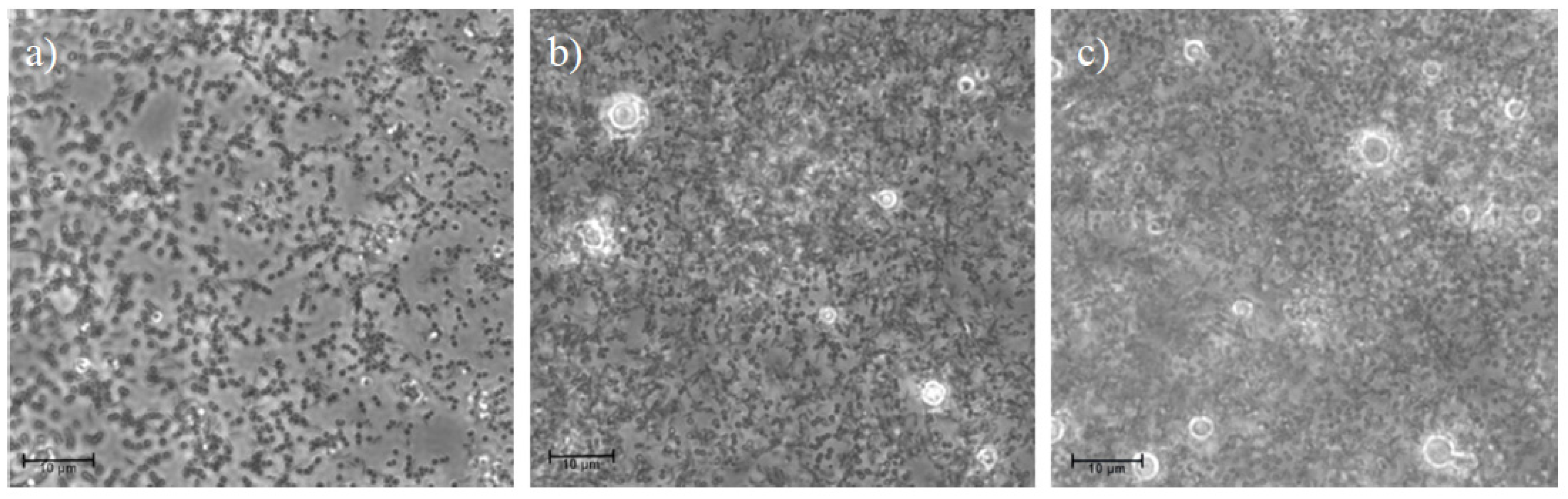 Pharmaceutics 13 01716 g008 Pharmaceutics 13 01716 g008