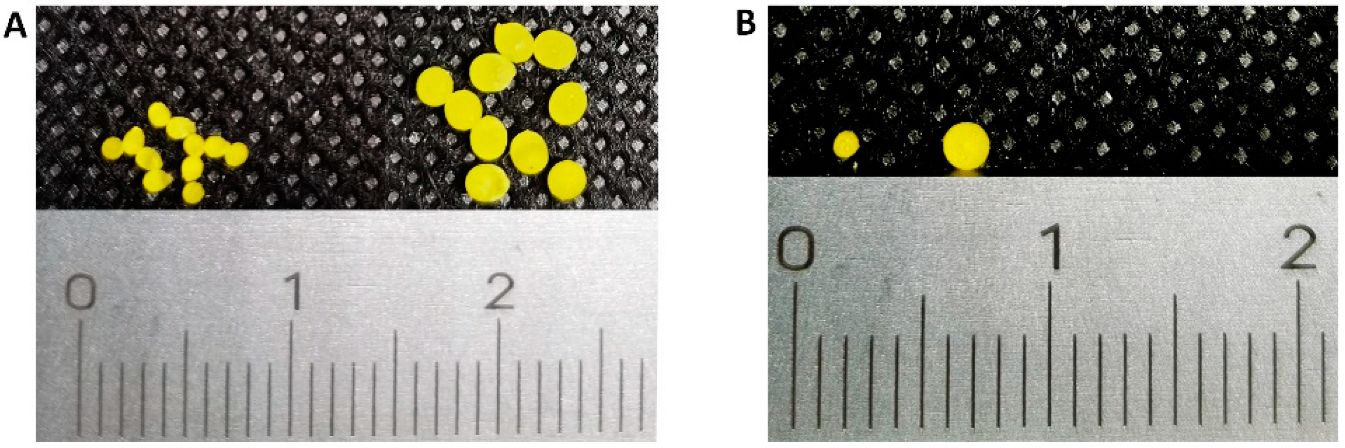 Pharmaceutics 13 01717 g002