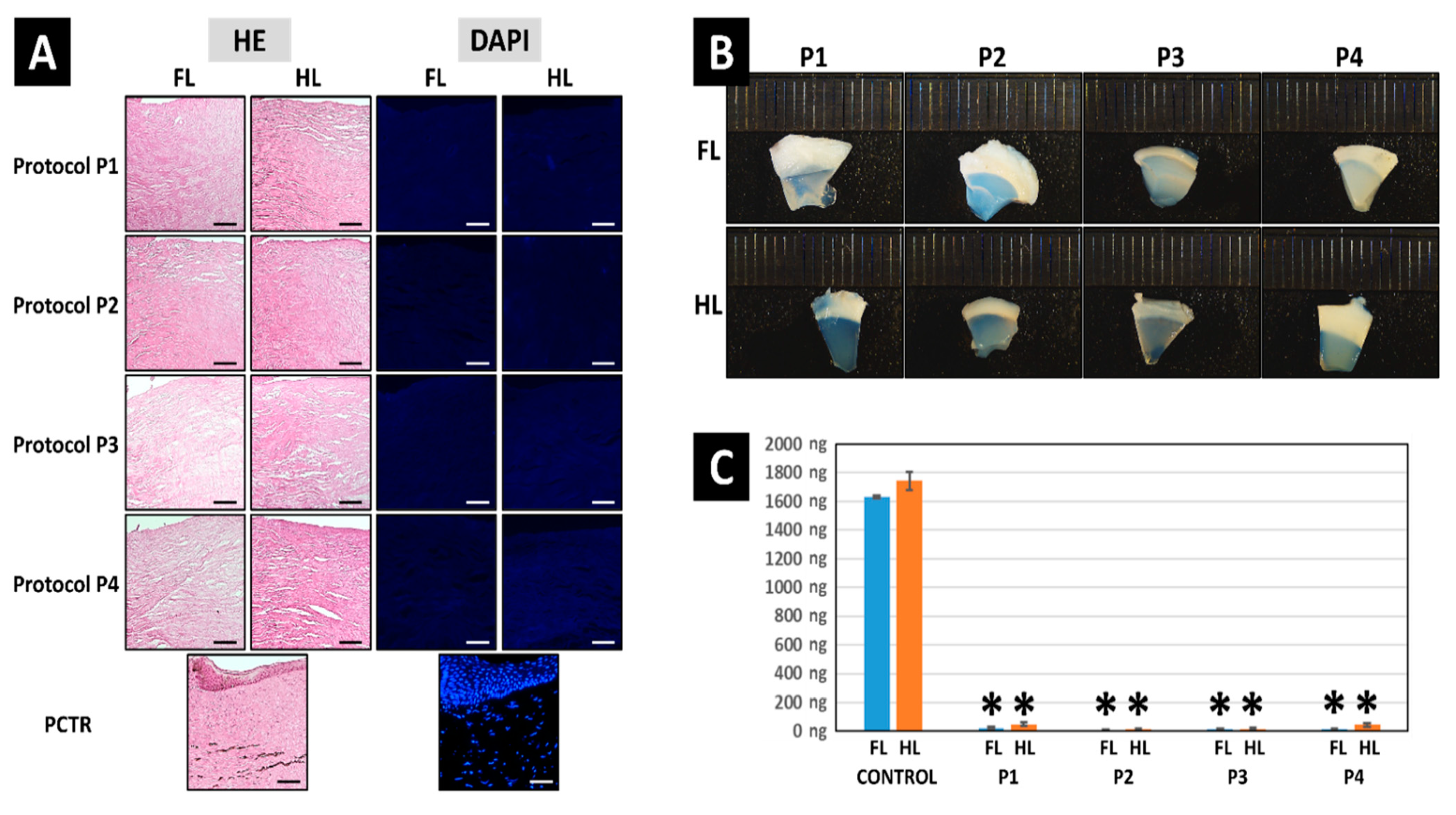 Pharmaceutics 13 01718 g002 Pharmaceutics 13 01718 g002