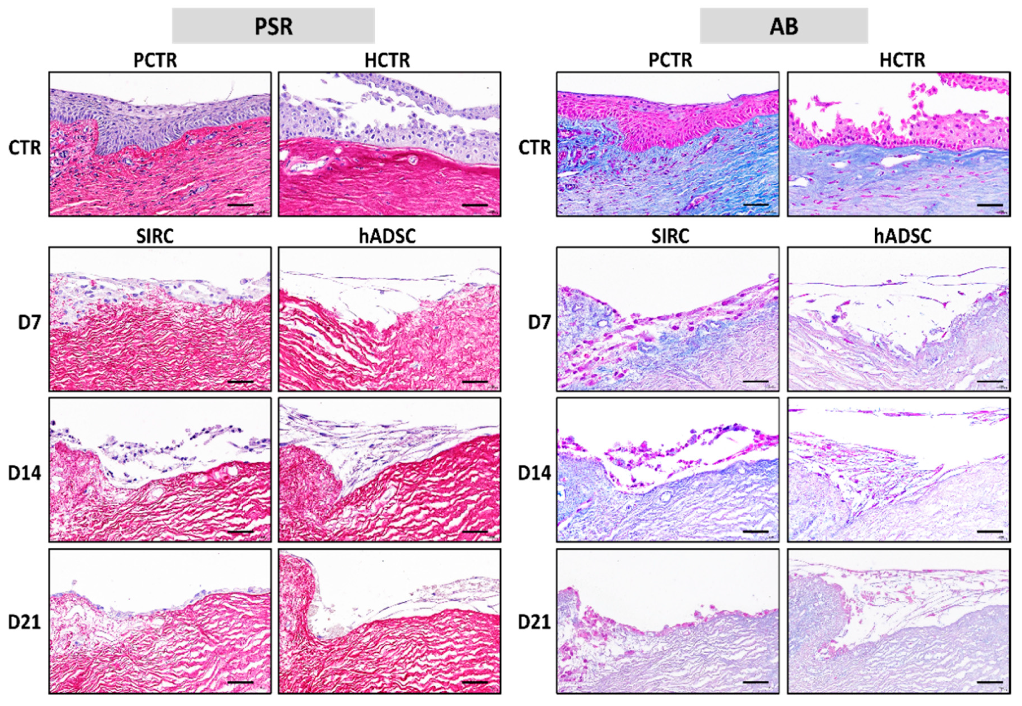 Pharmaceutics 13 01718 g008 Pharmaceutics 13 01718 g008