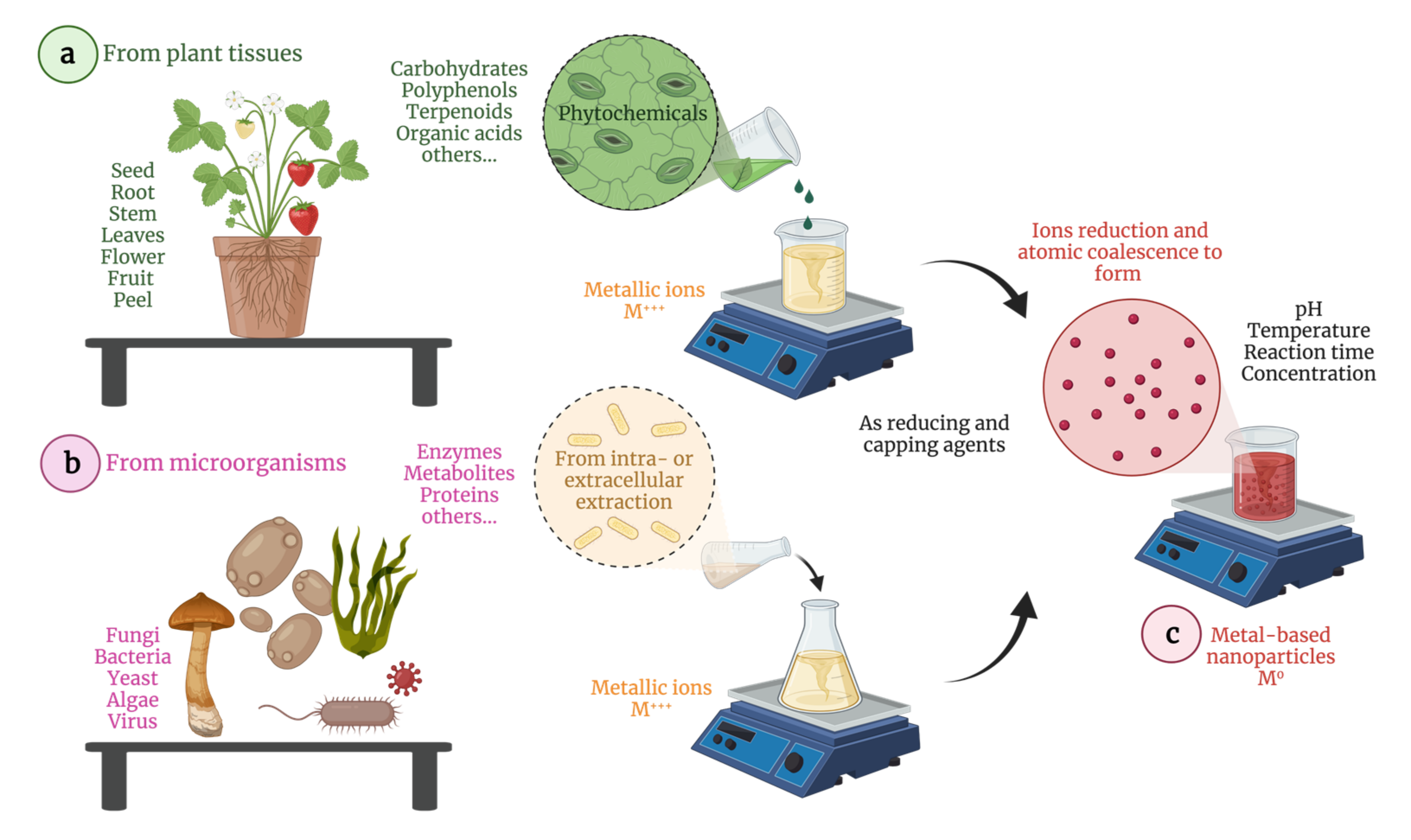 Pharmaceutics 13 01719 g001 Pharmaceutics 13 01719 g001