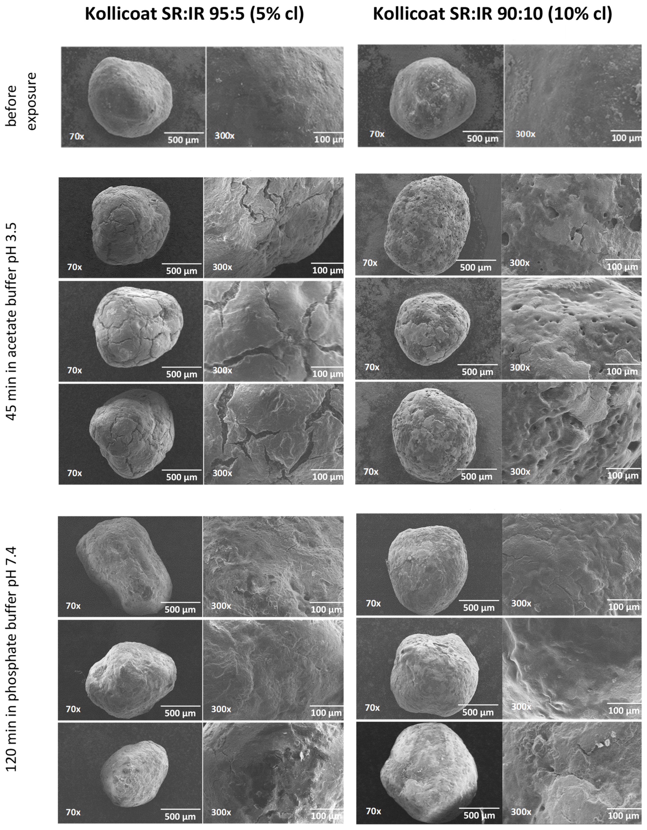 Pharmaceutics 13 01723 g007 550