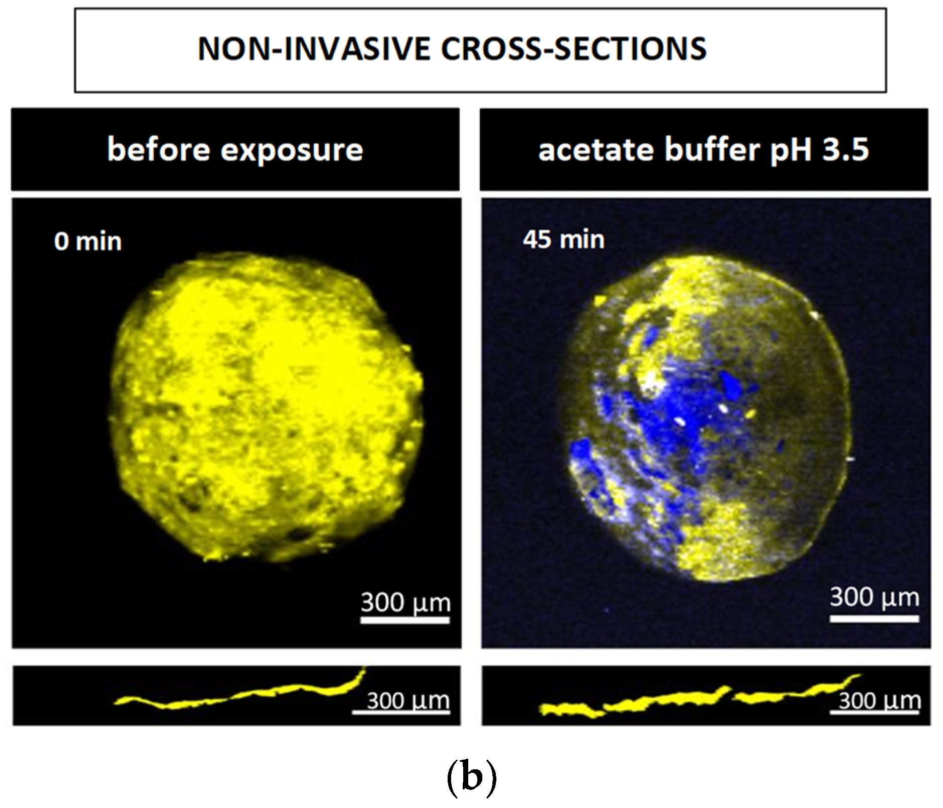 Pharmaceutics 13 01723 g009b 550