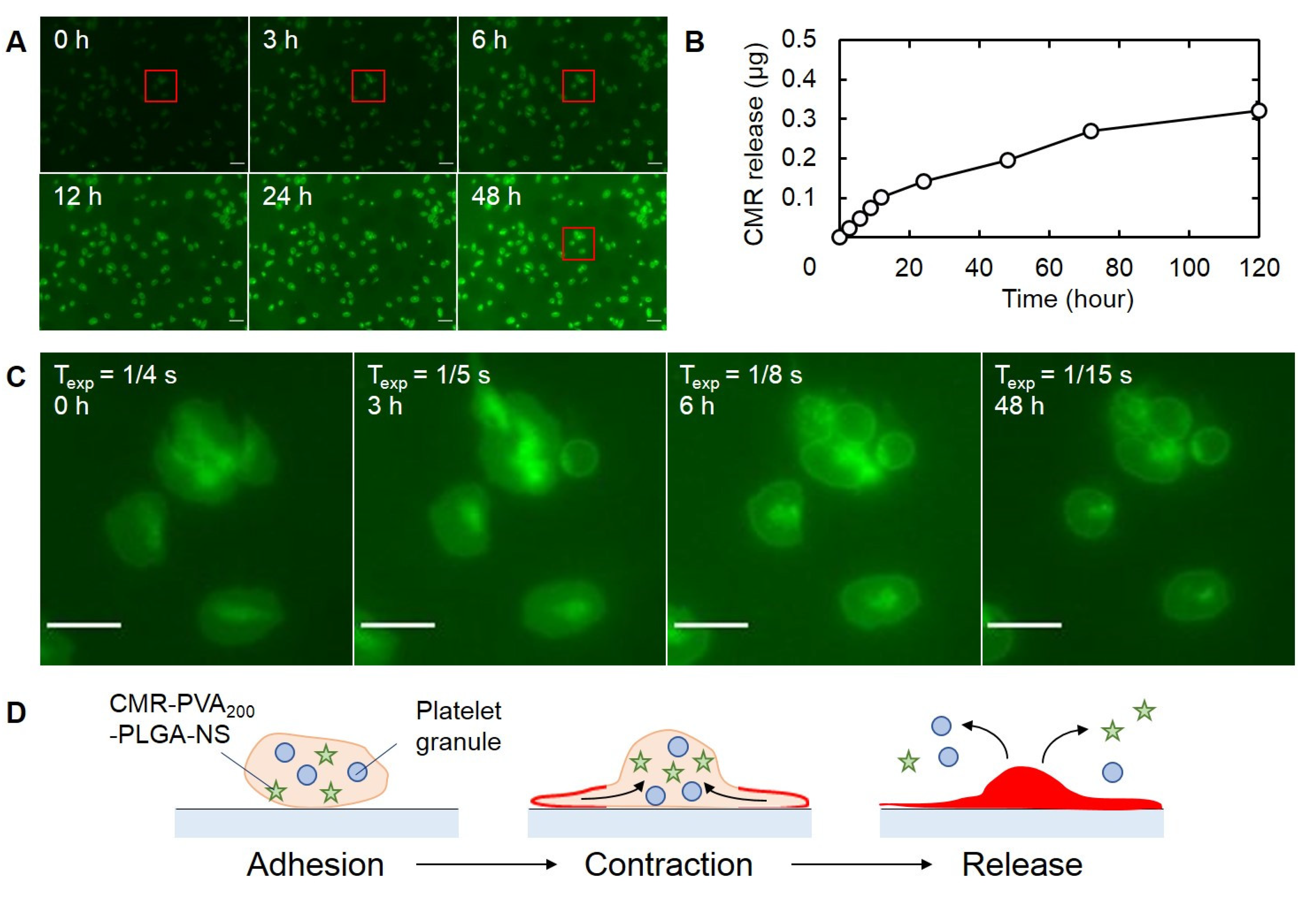 Pharmaceutics 13 01724 g007 550