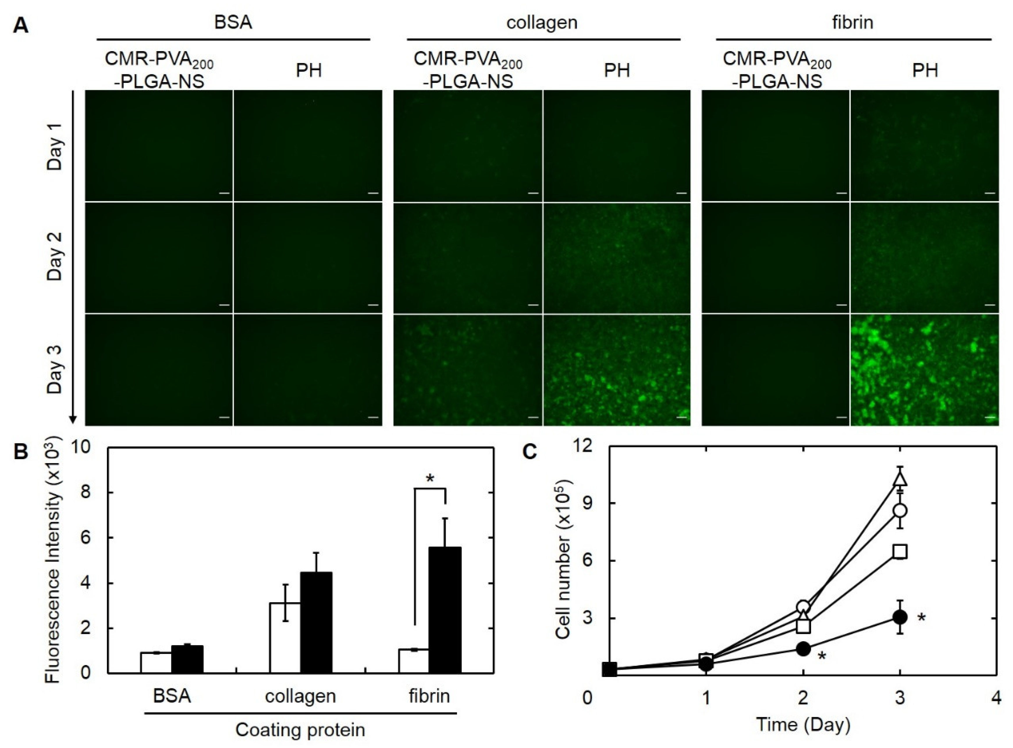 Pharmaceutics 13 01724 g008 550