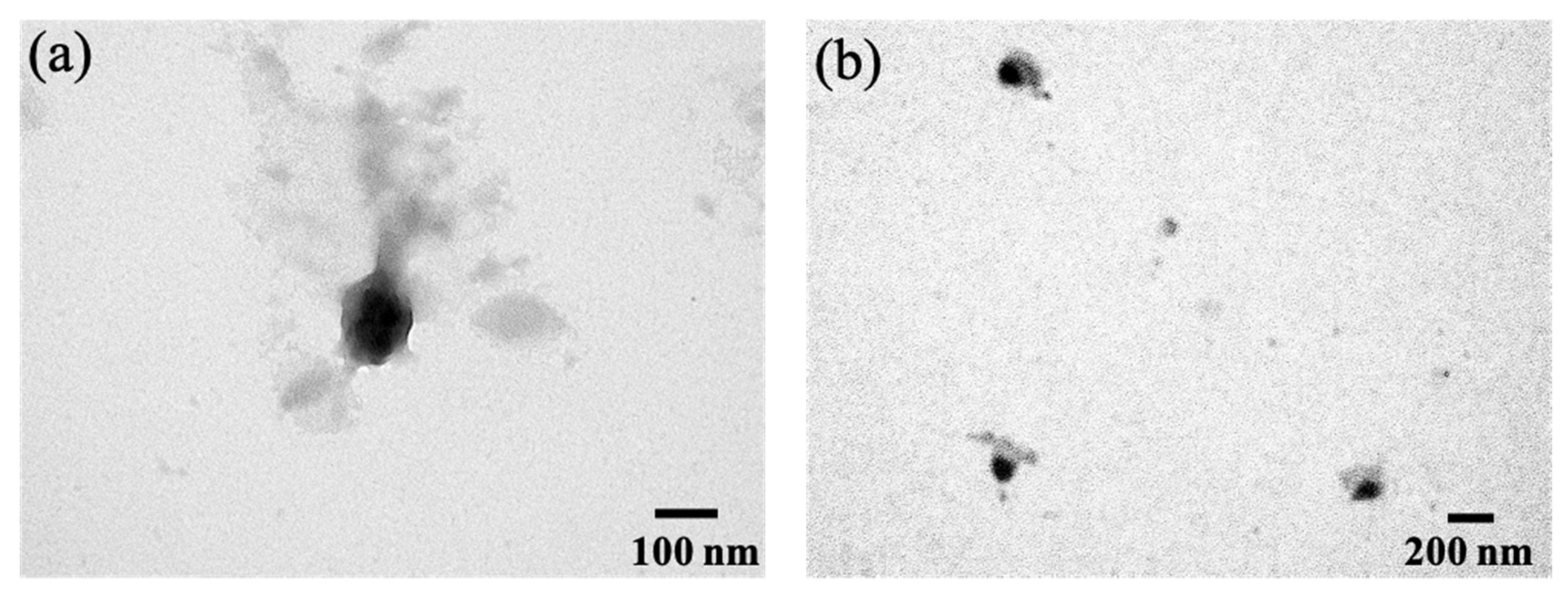 Pharmaceutics 13 01728 g005 550