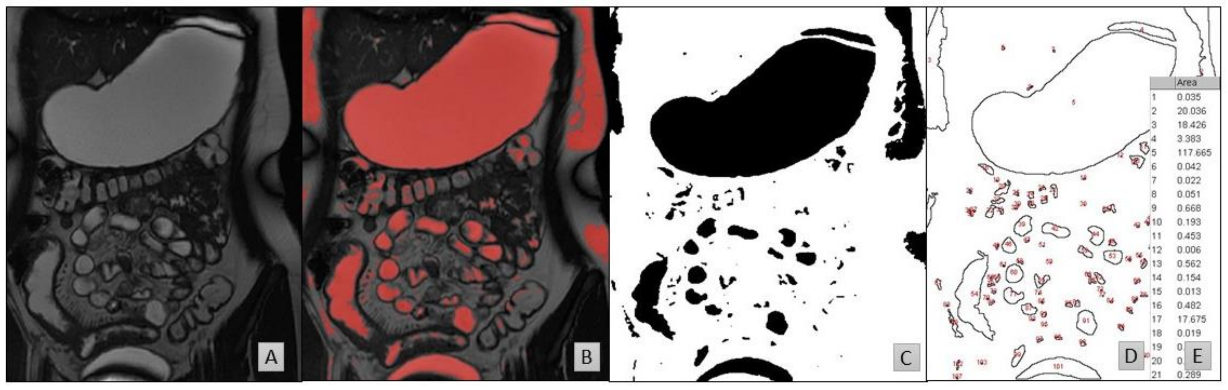 Pharmaceutics 13 01729 g001