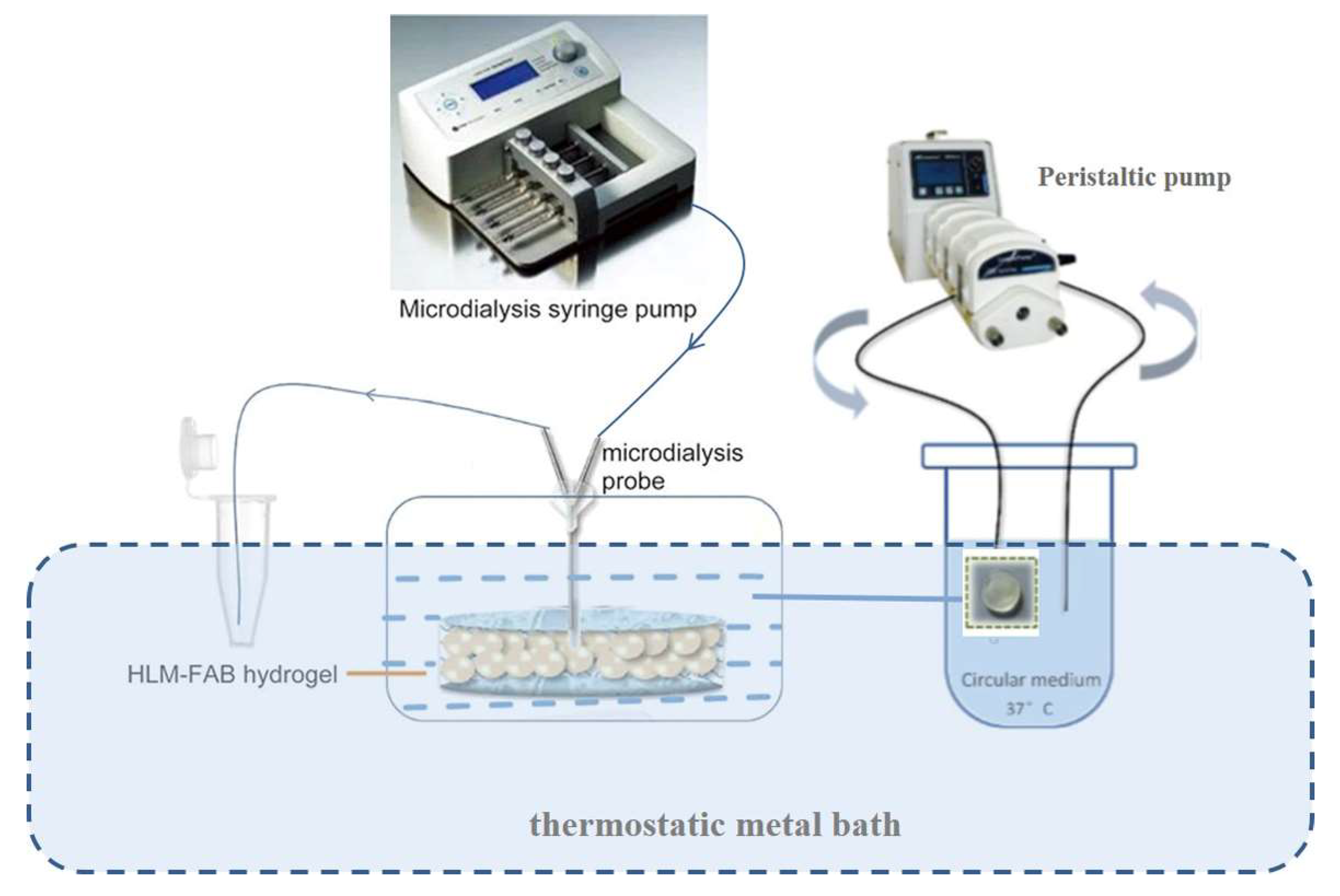 Pharmaceutics 13 01734 g001