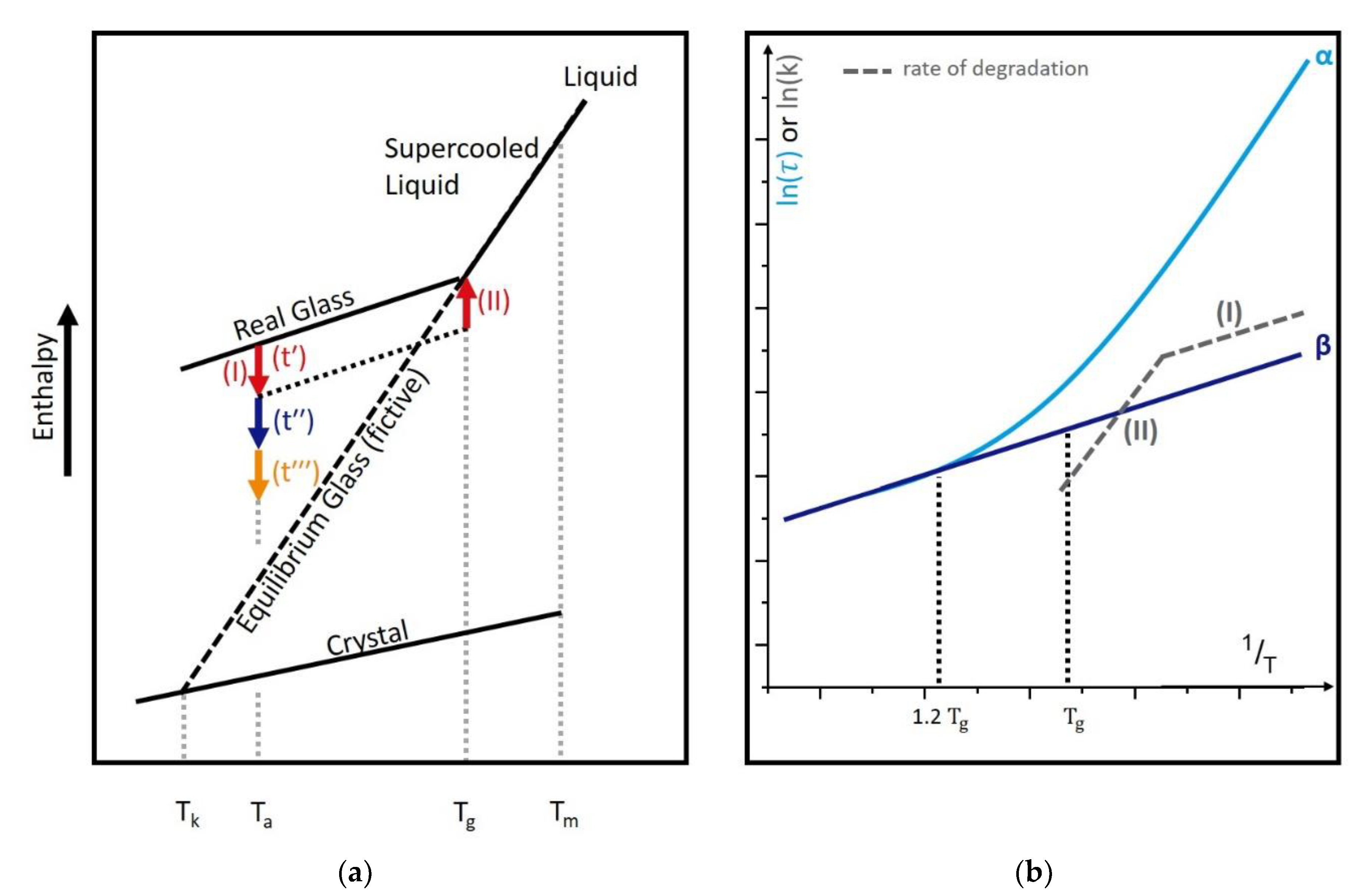 Pharmaceutics 13 01735 g001