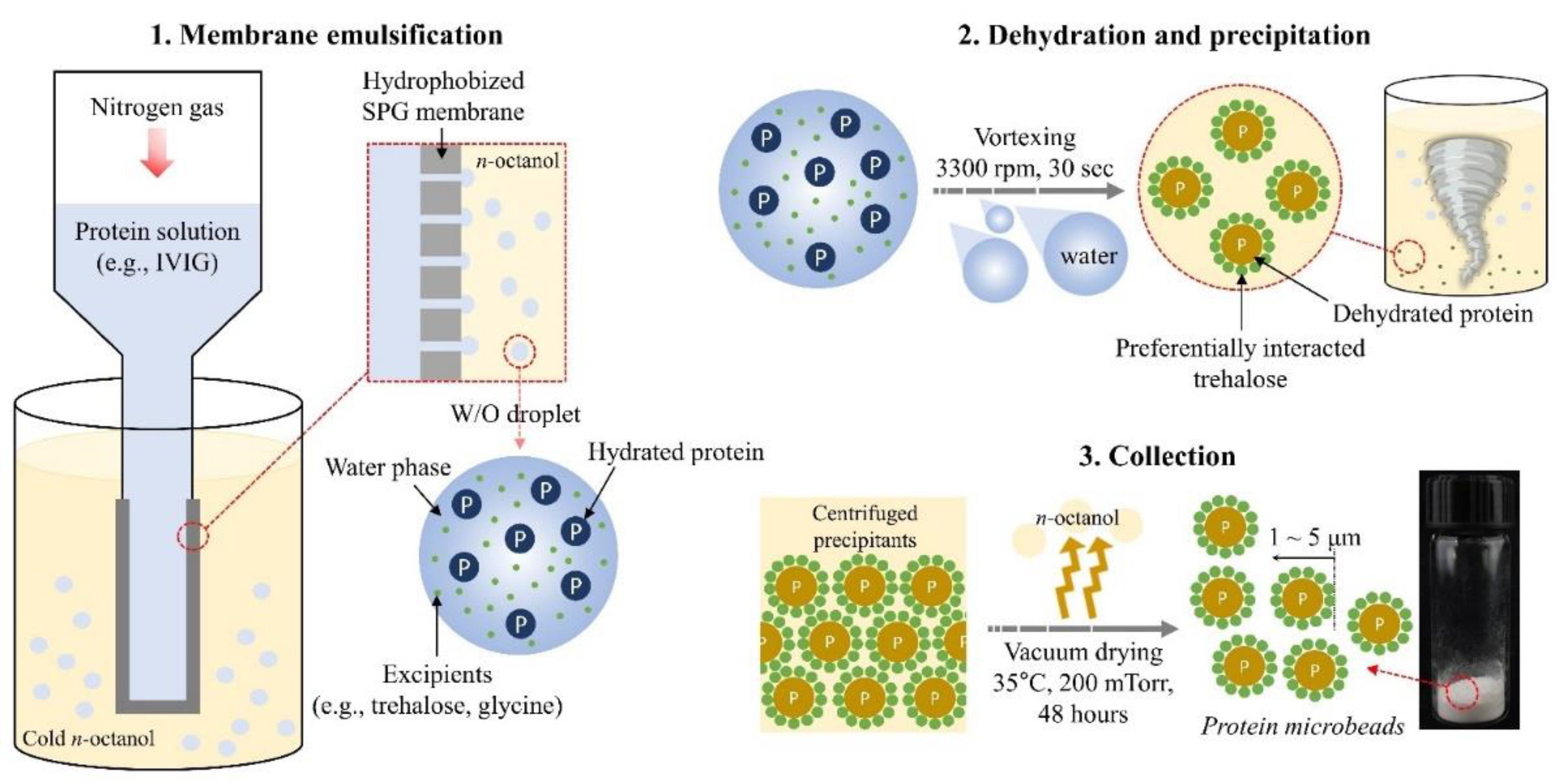Pharmaceutics 13 01738 g001 550