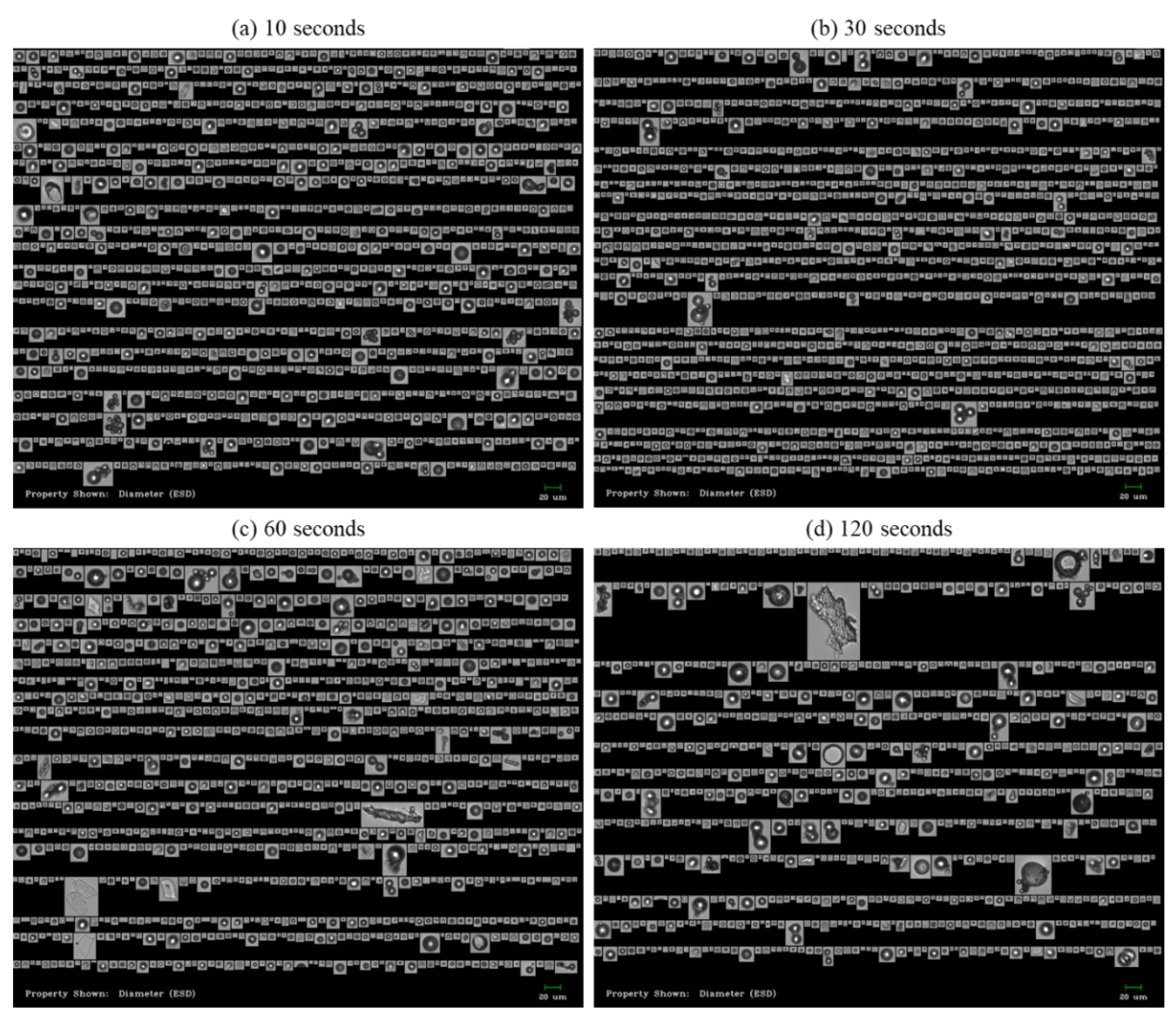 Pharmaceutics 13 01738 g003 550